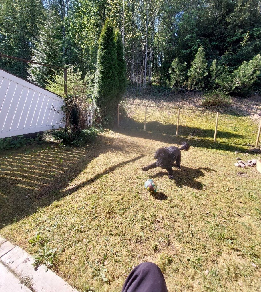 image-1