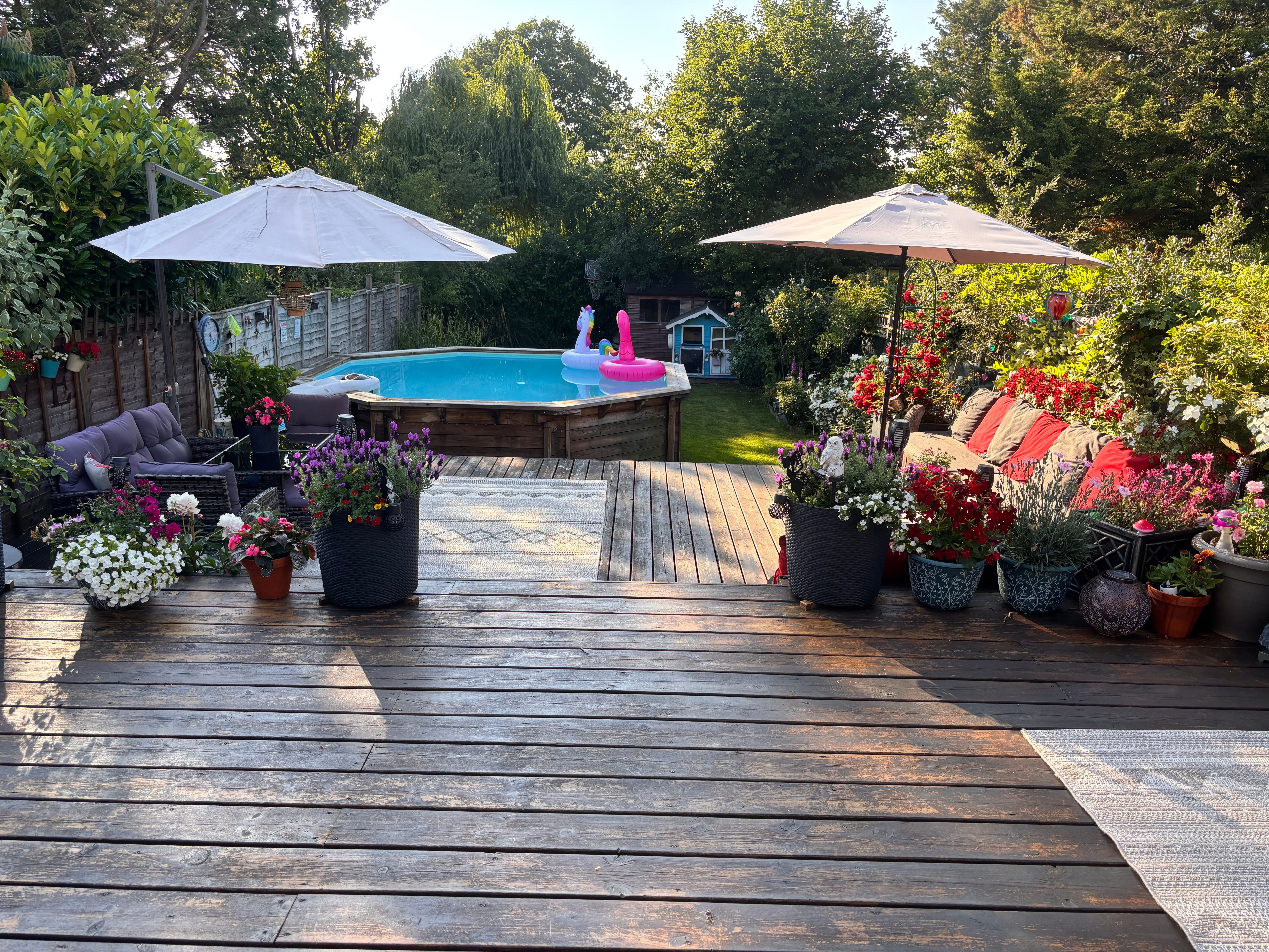 image-27