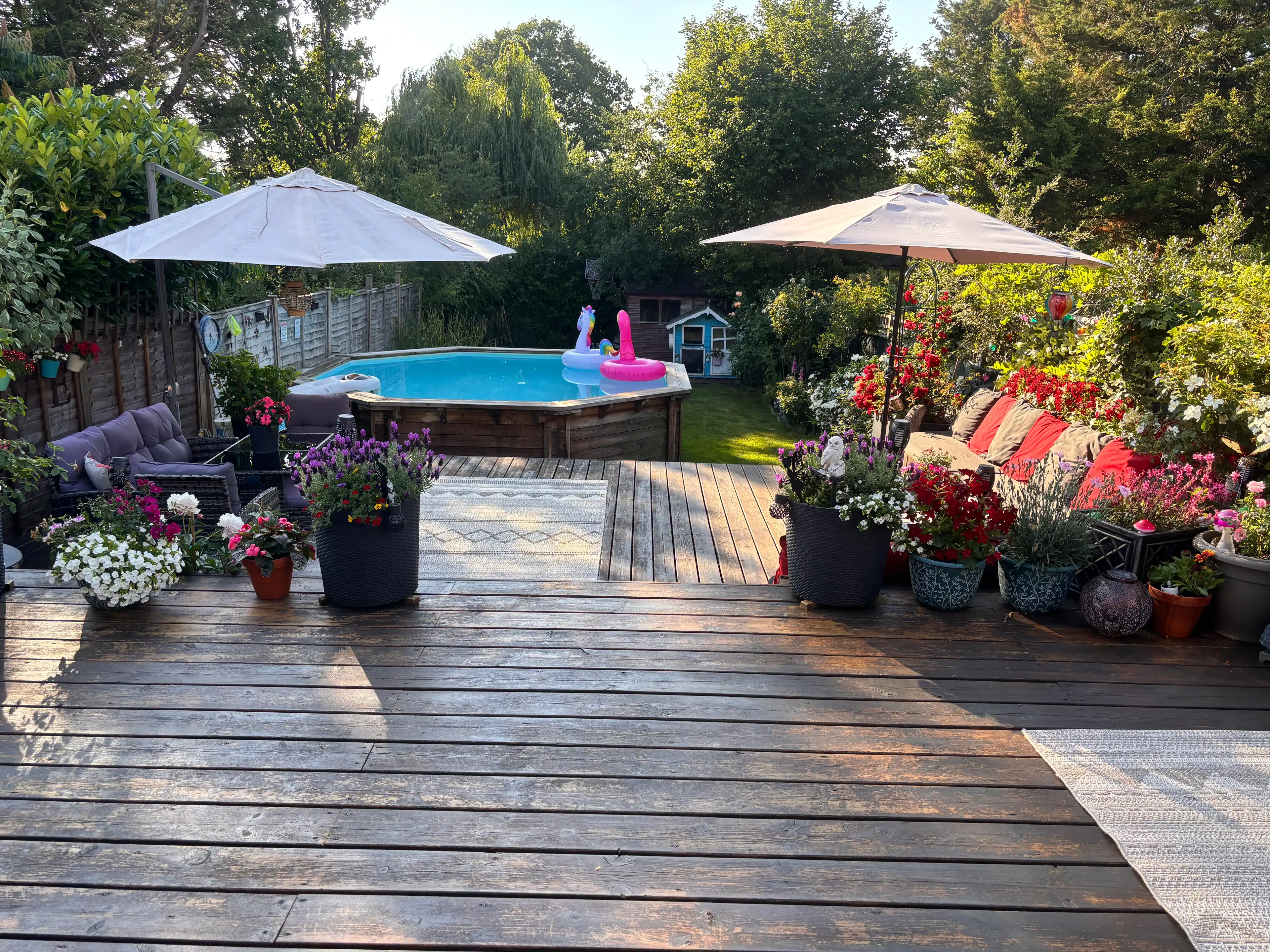 image-27