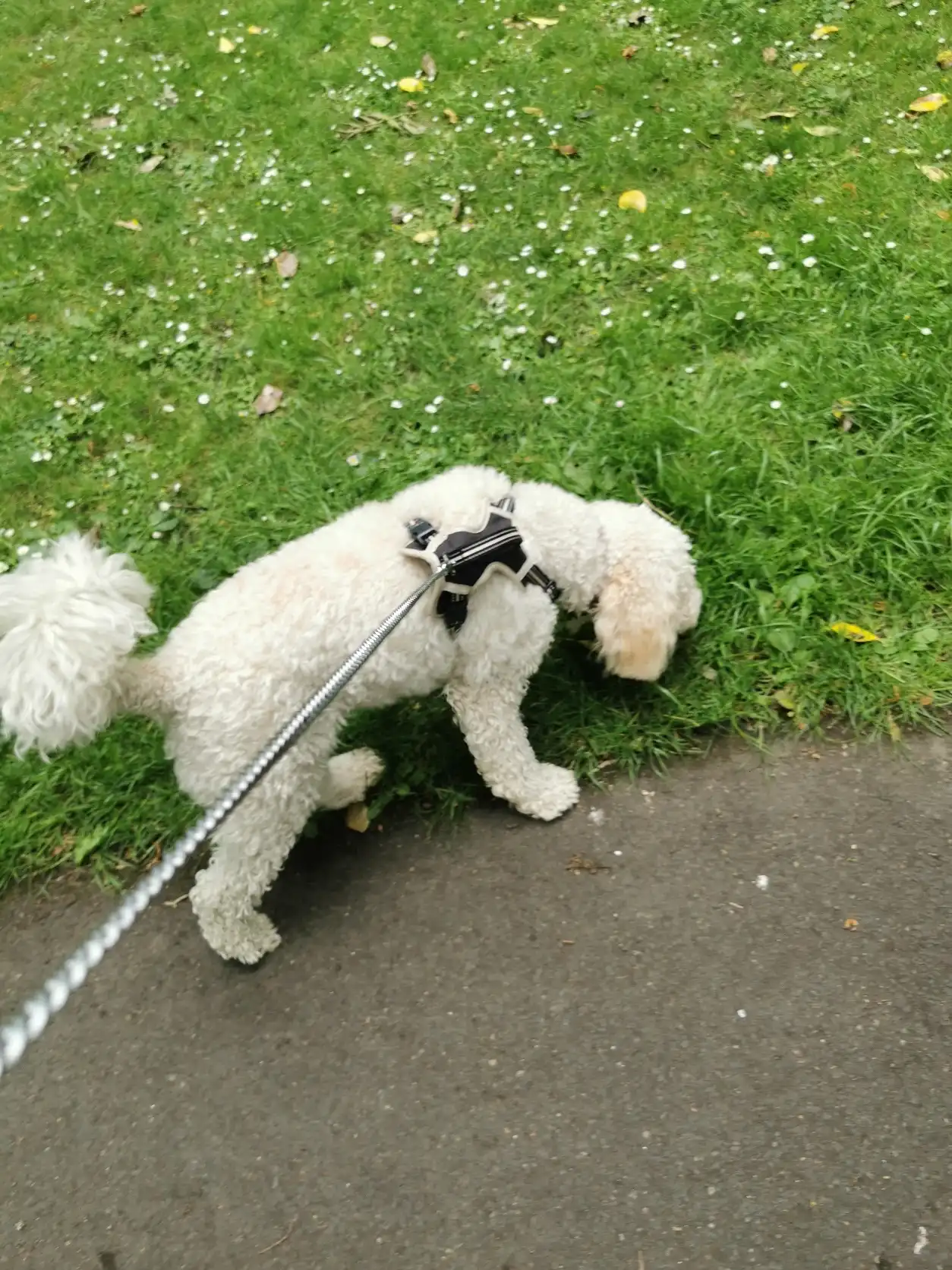 image-5