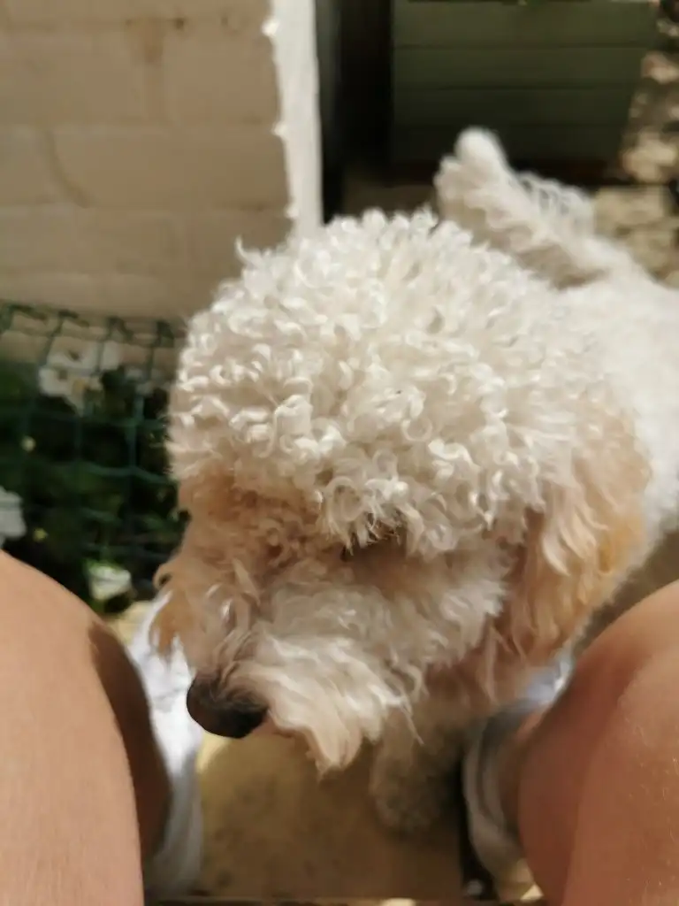 image-8