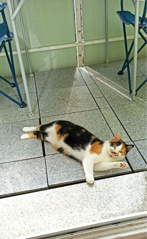 image-15