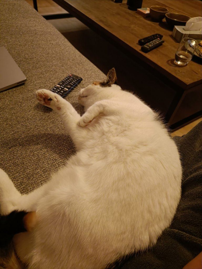 image-8