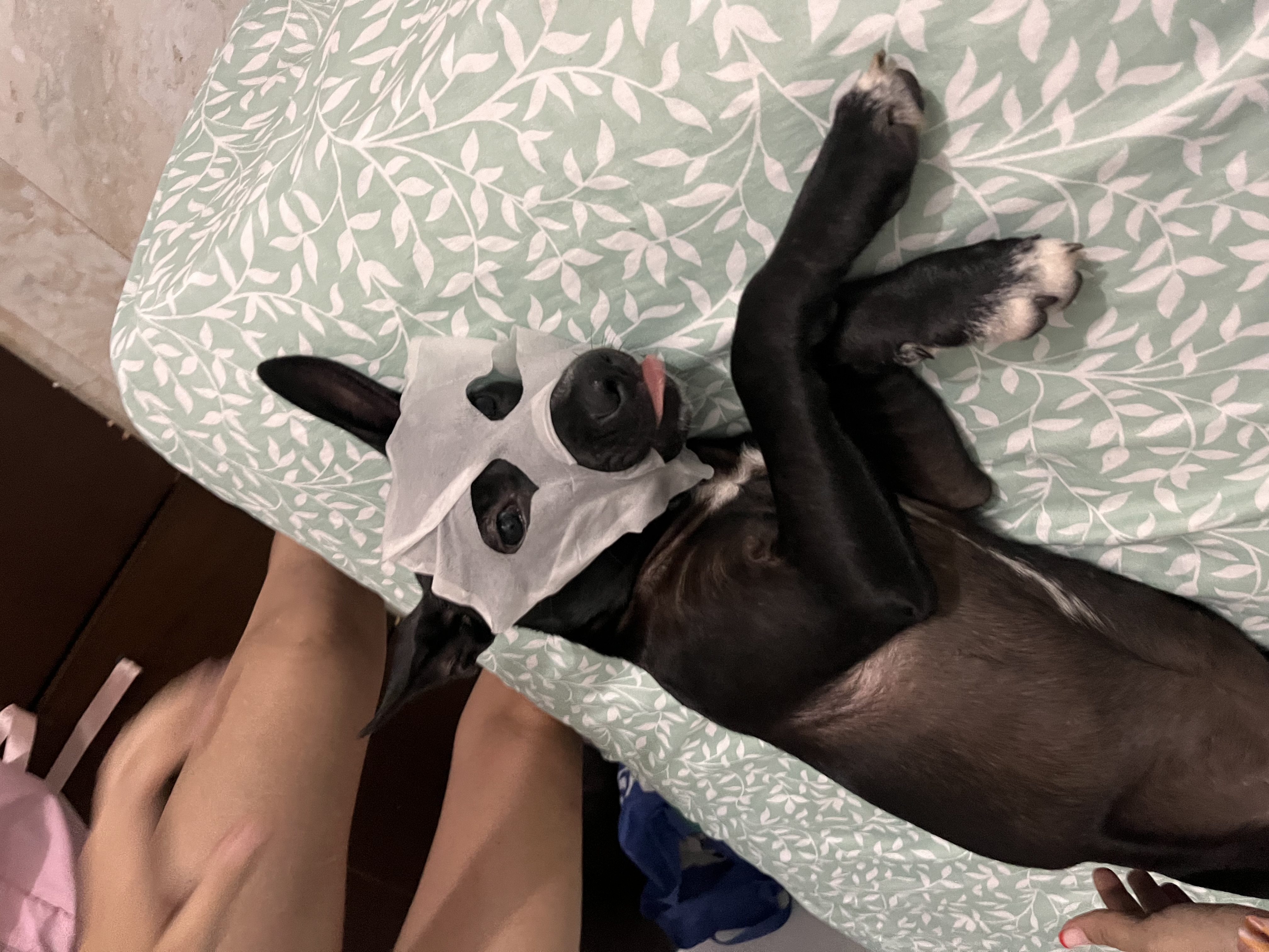 image-7