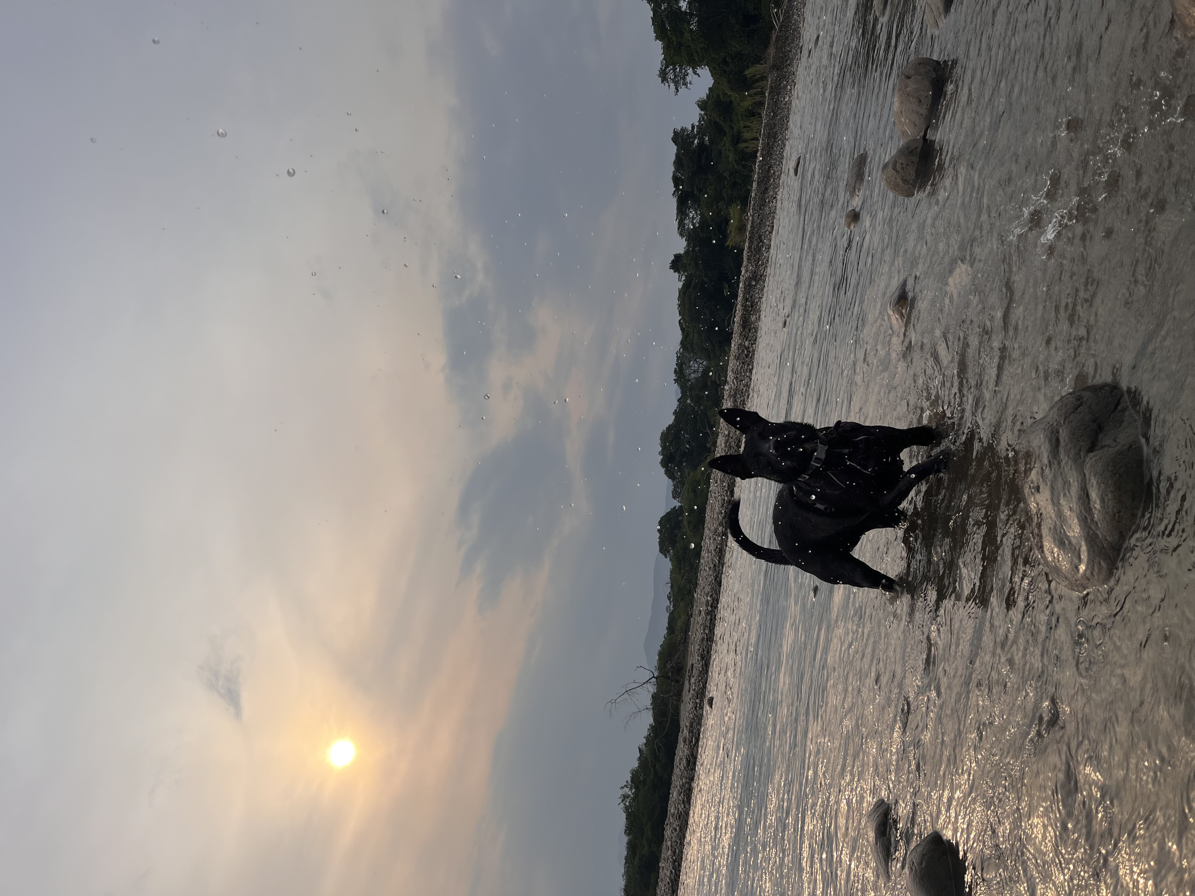 image-9