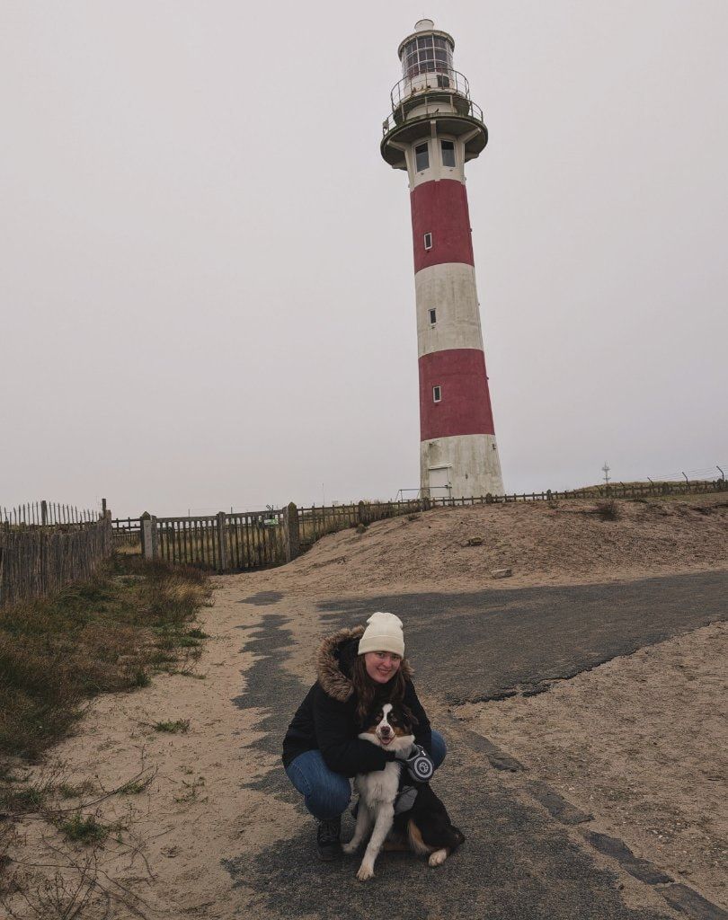 image-5