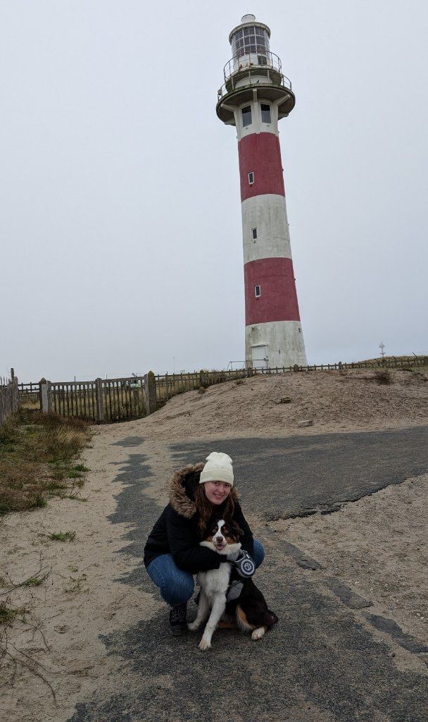 image-1