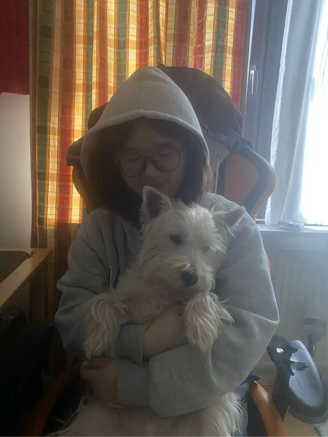 image-5