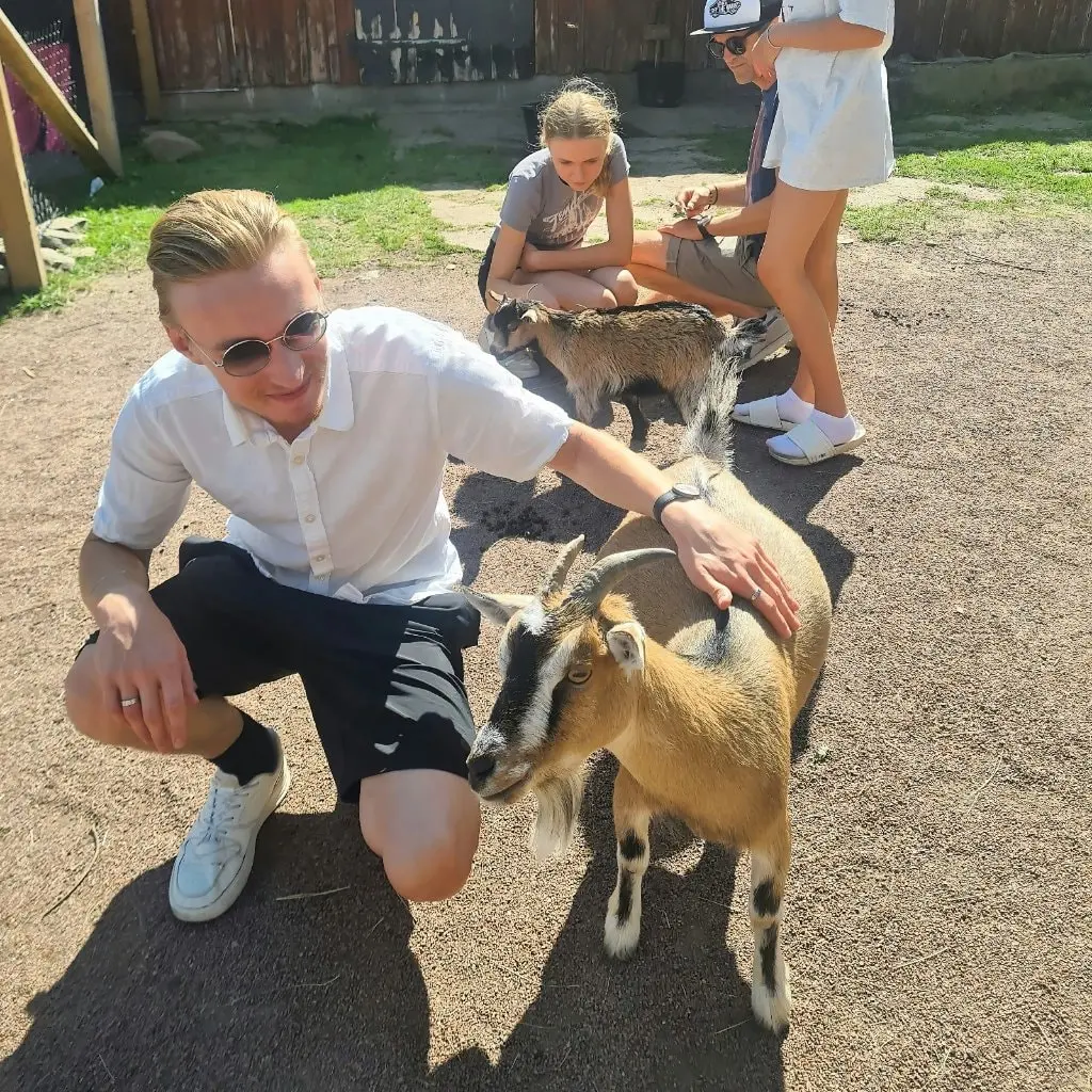 image-2