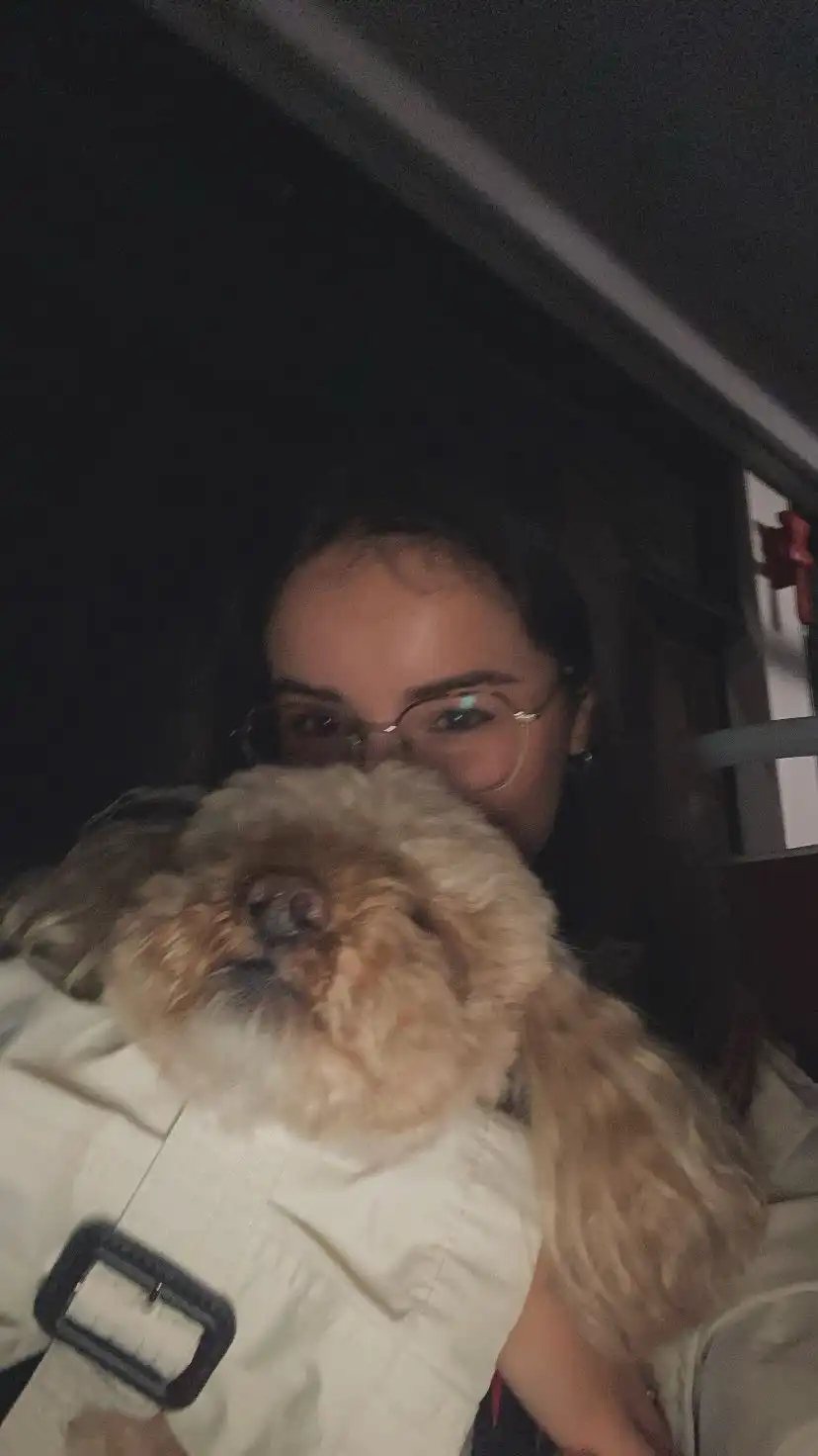 image-6