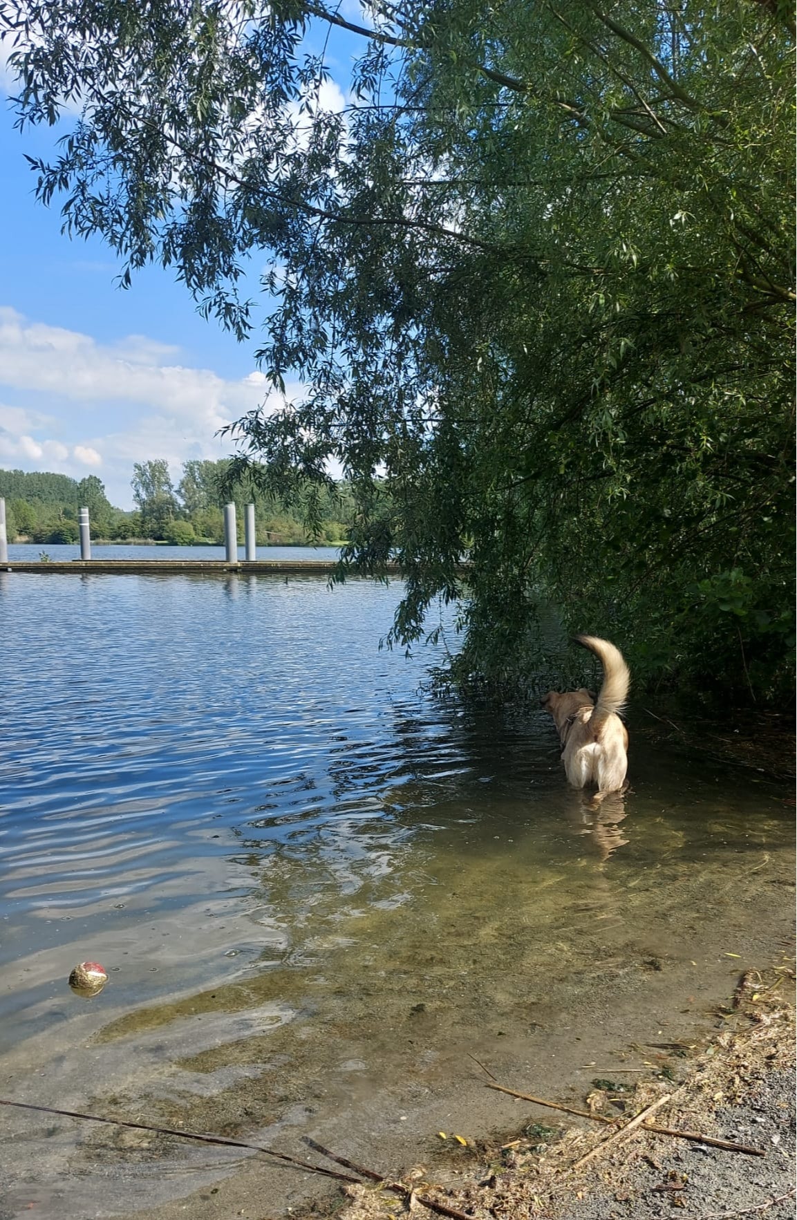 image-4