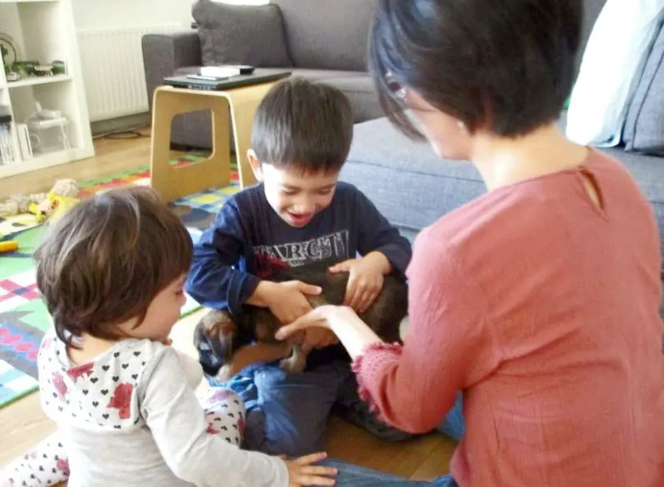 image-4