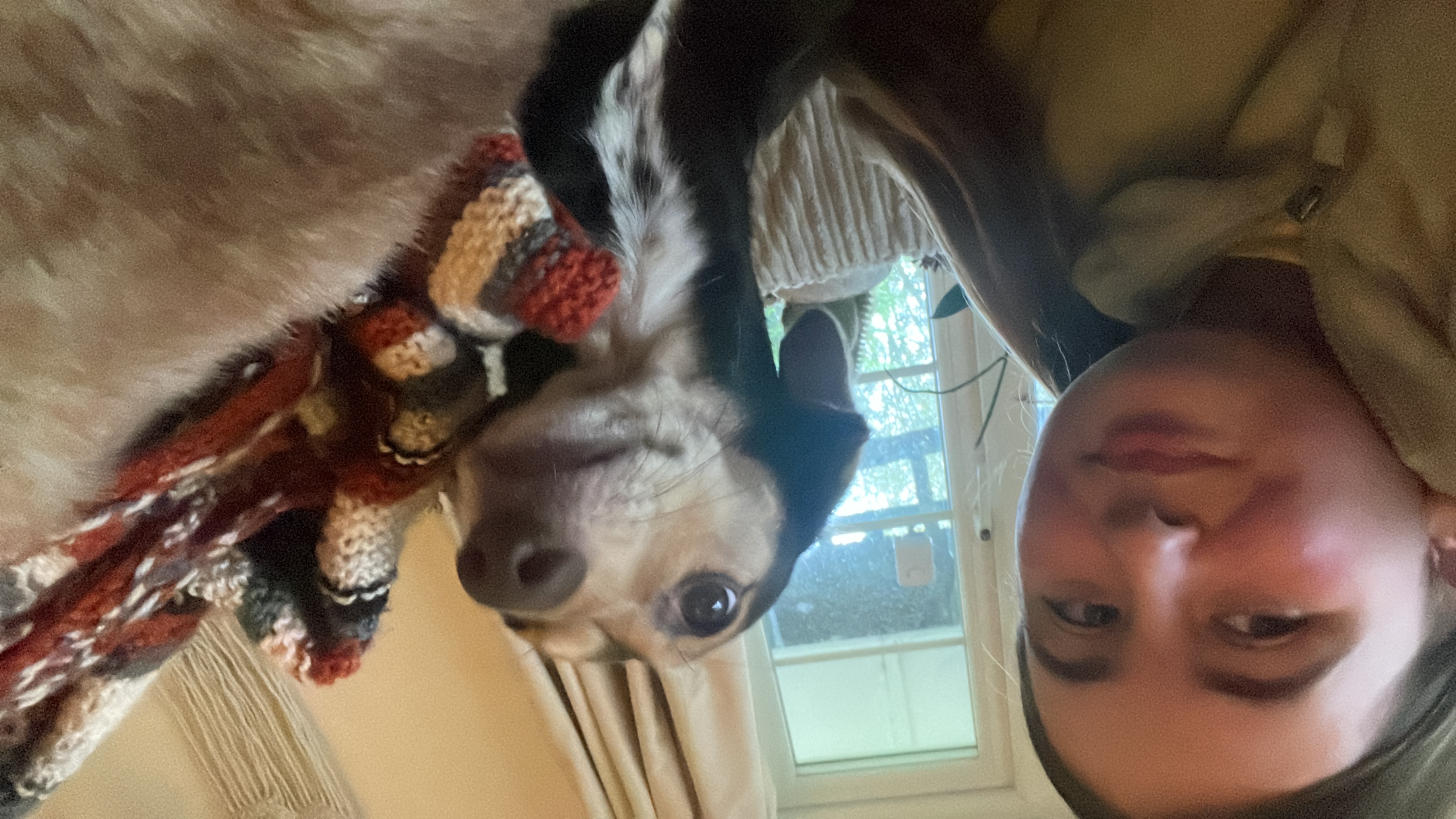 image-8
