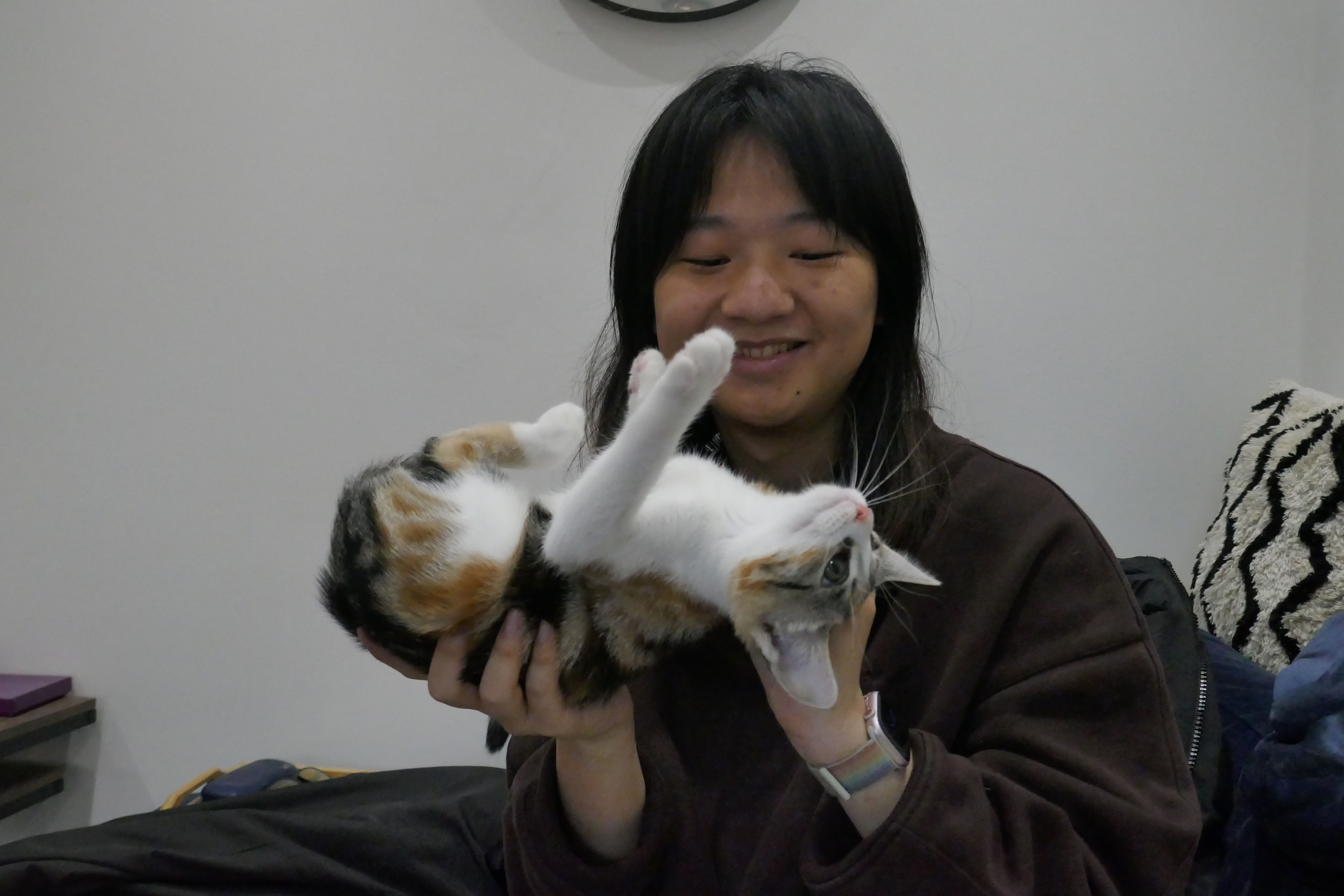 image-17
