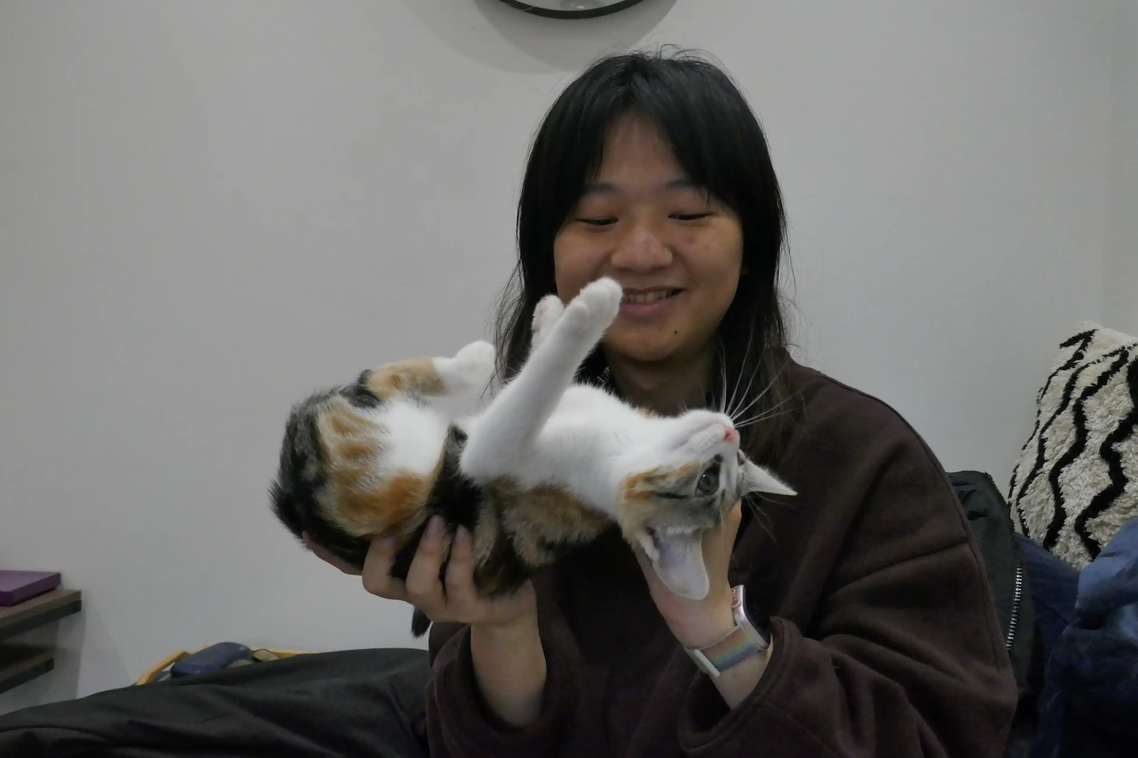 image-17