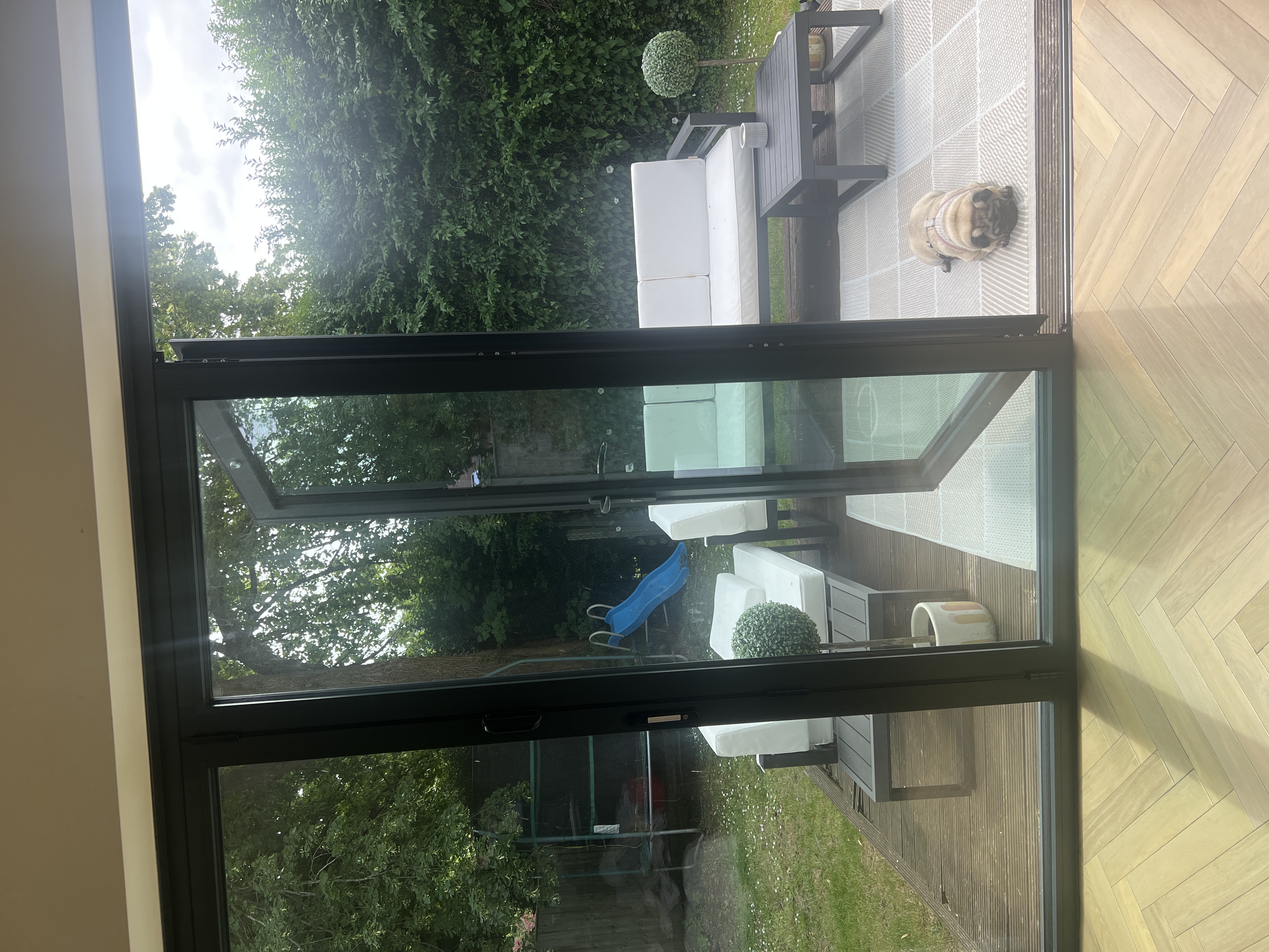 image-19