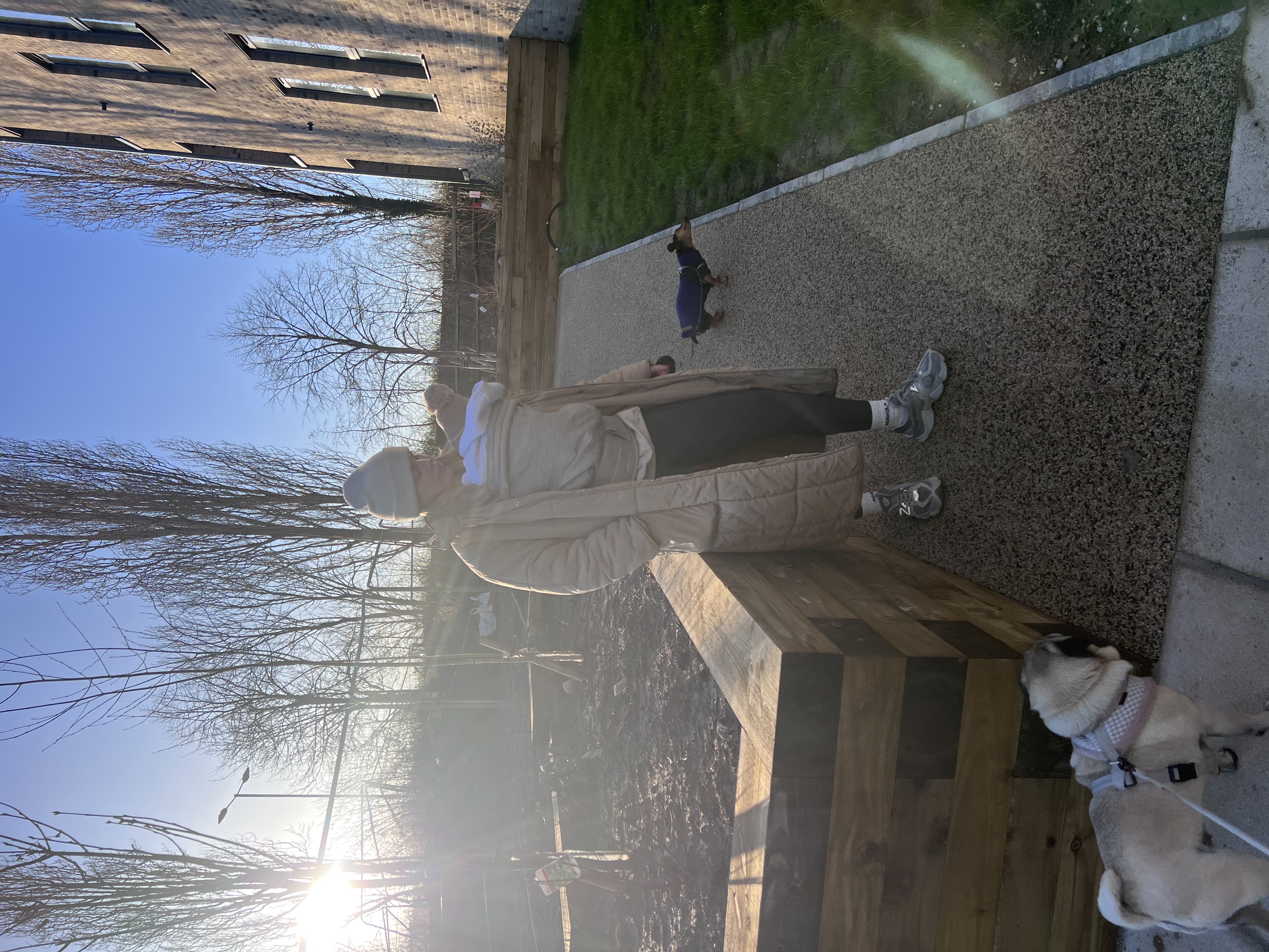 image-5
