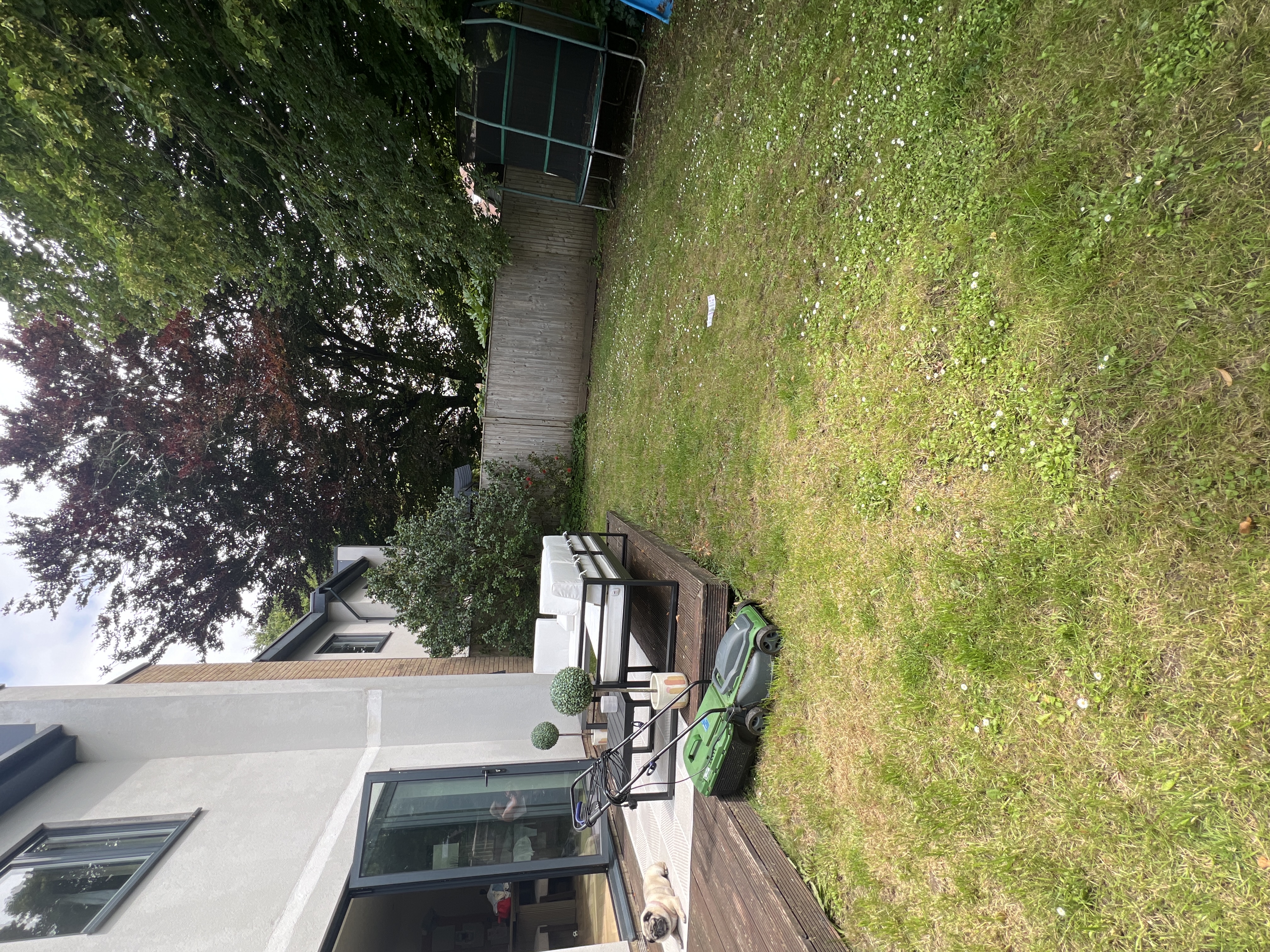 image-17