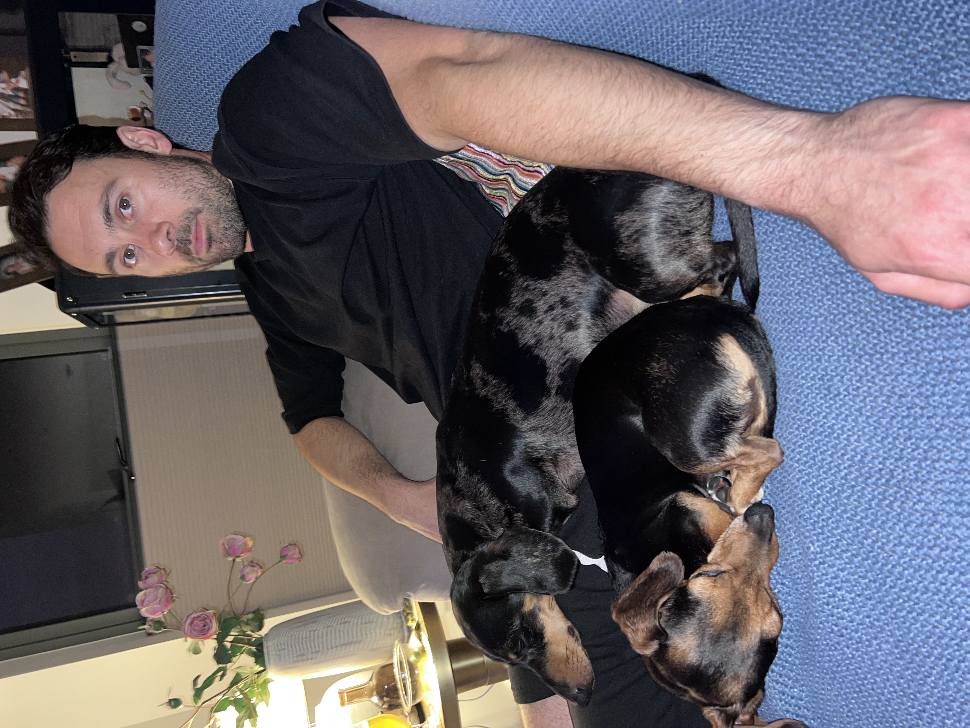 image-7