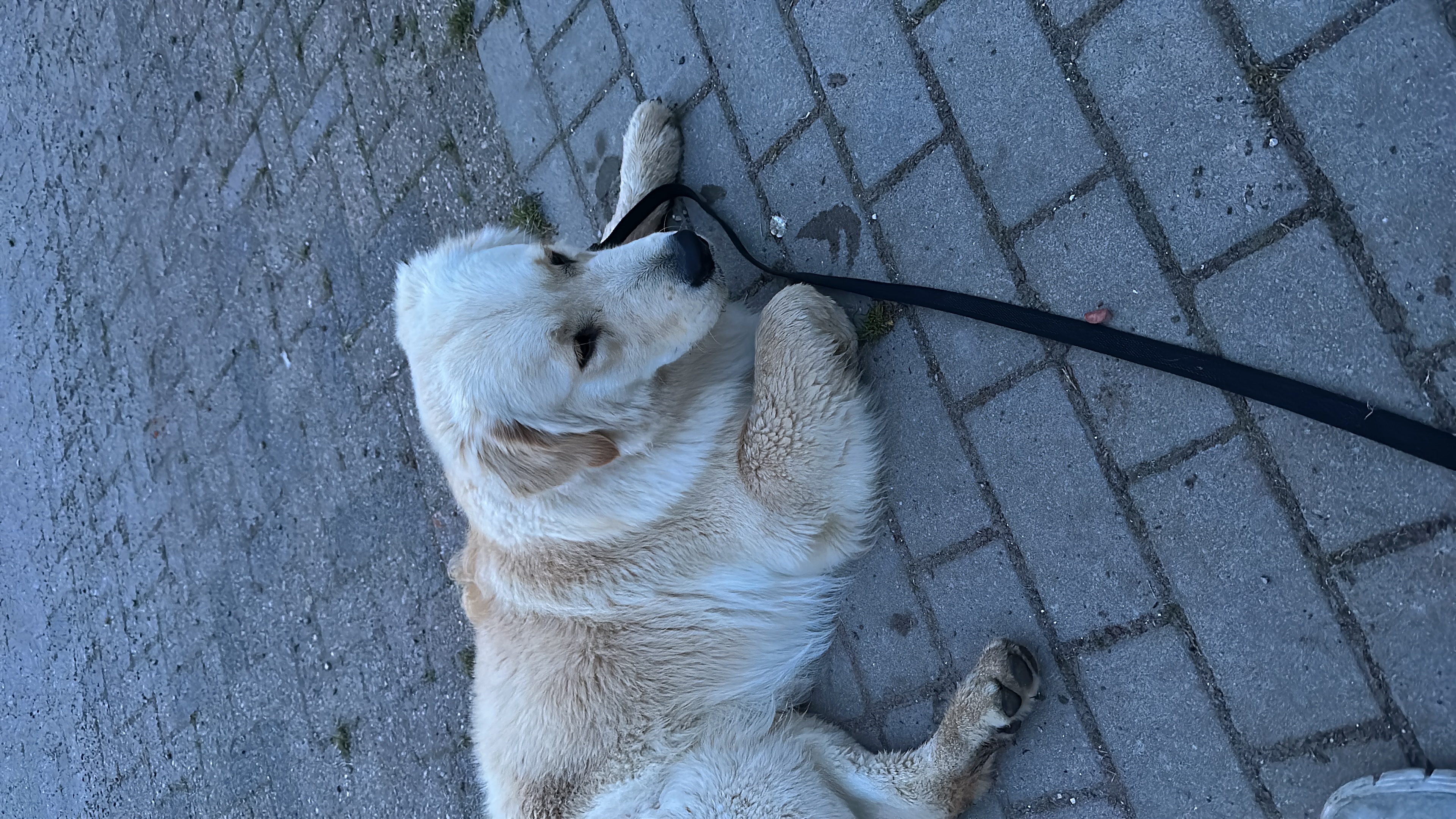 image-11