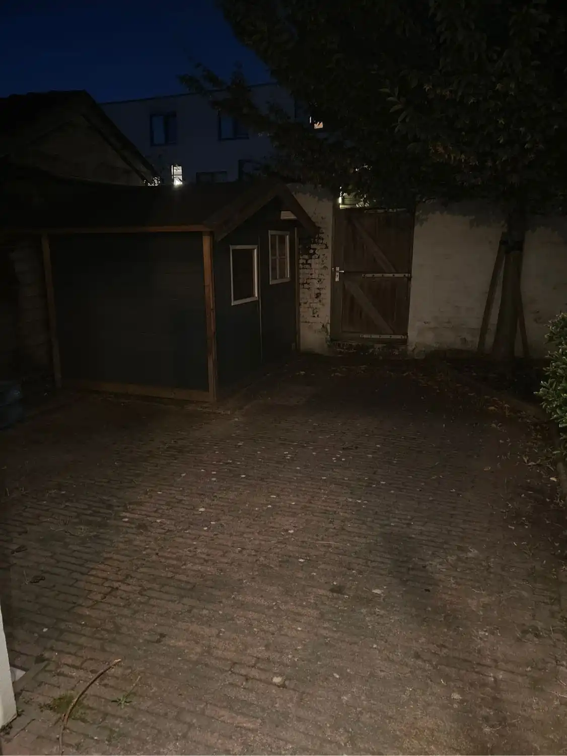 image-5