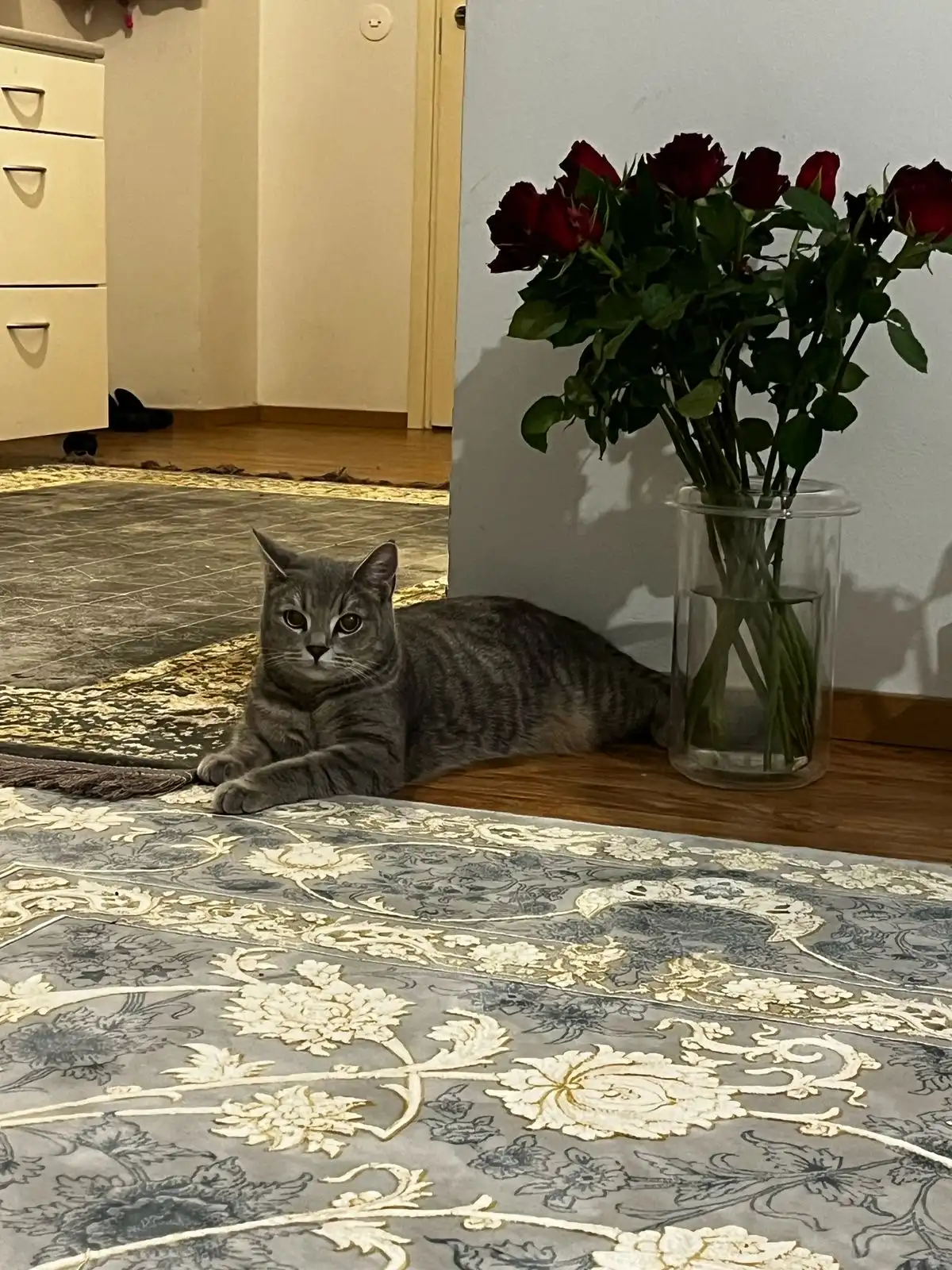 image-9