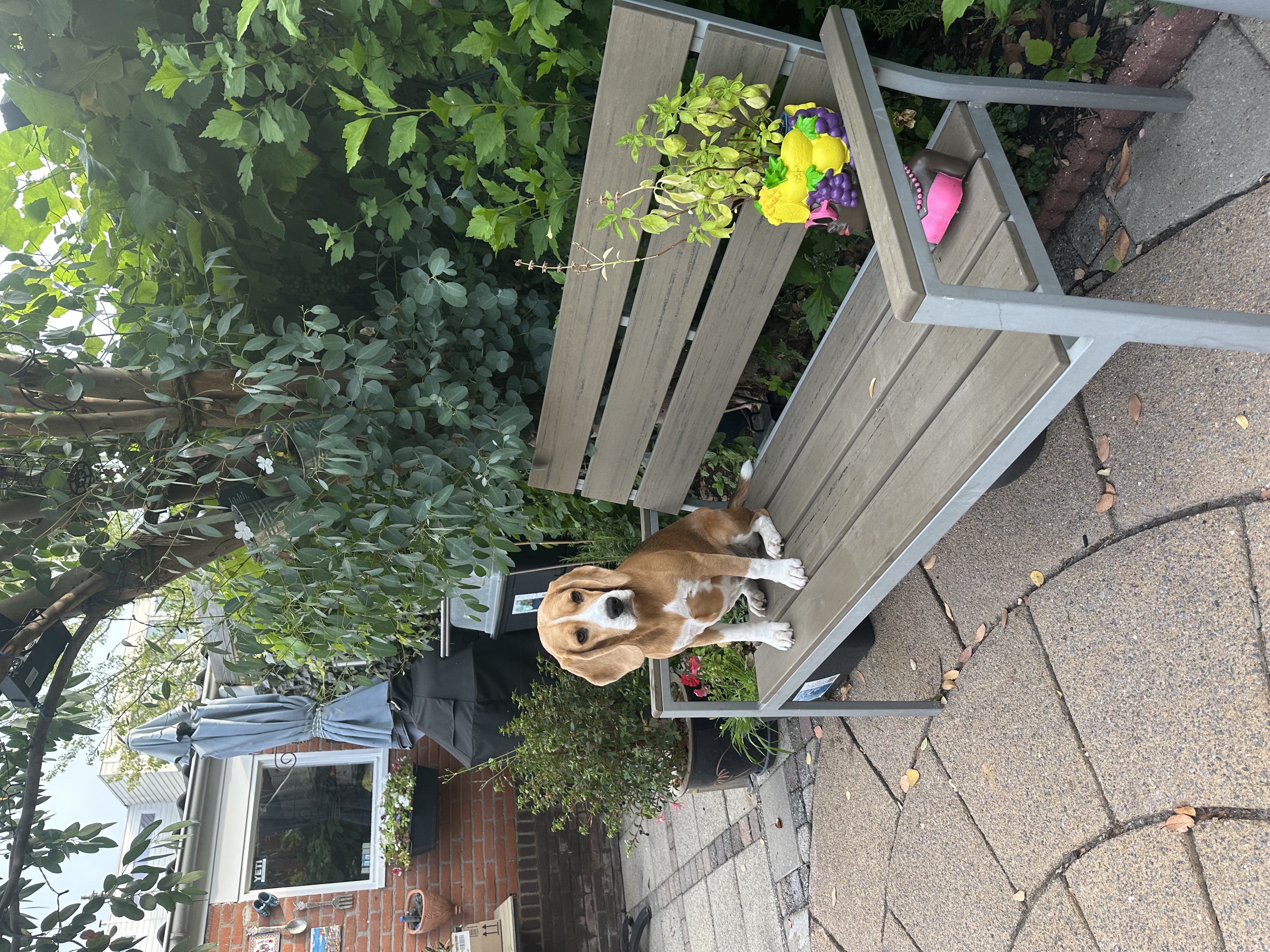 image-29