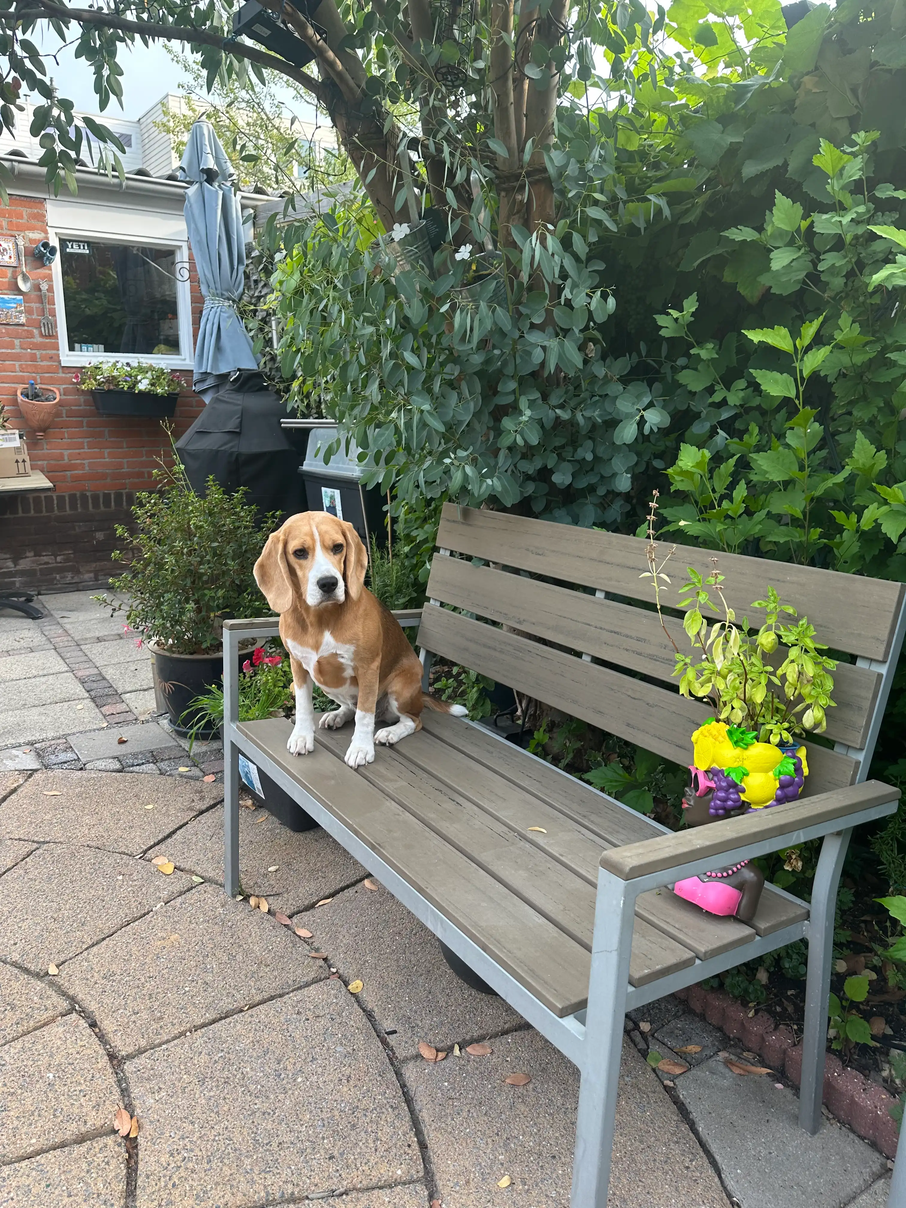 image-29