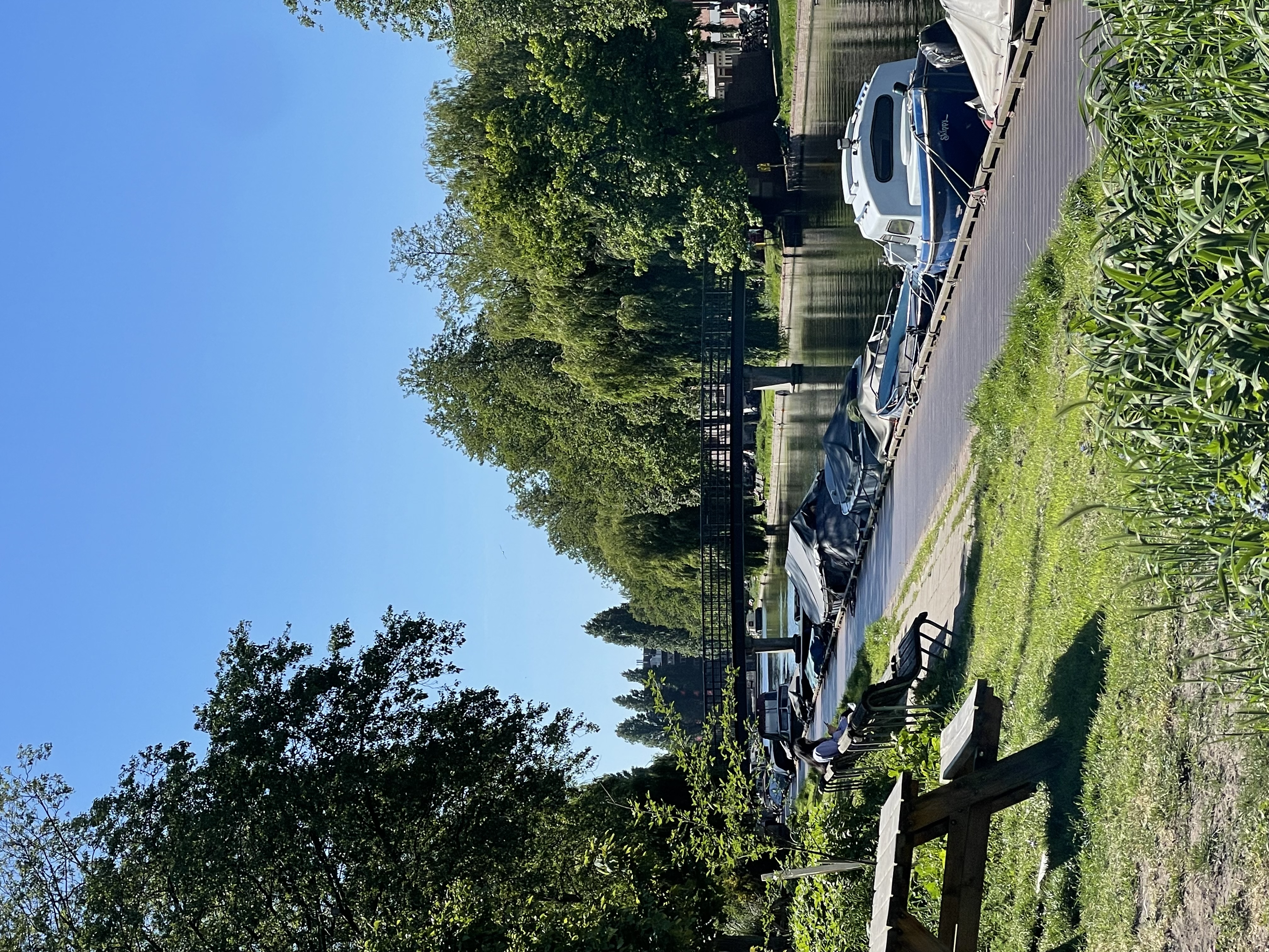 image-19
