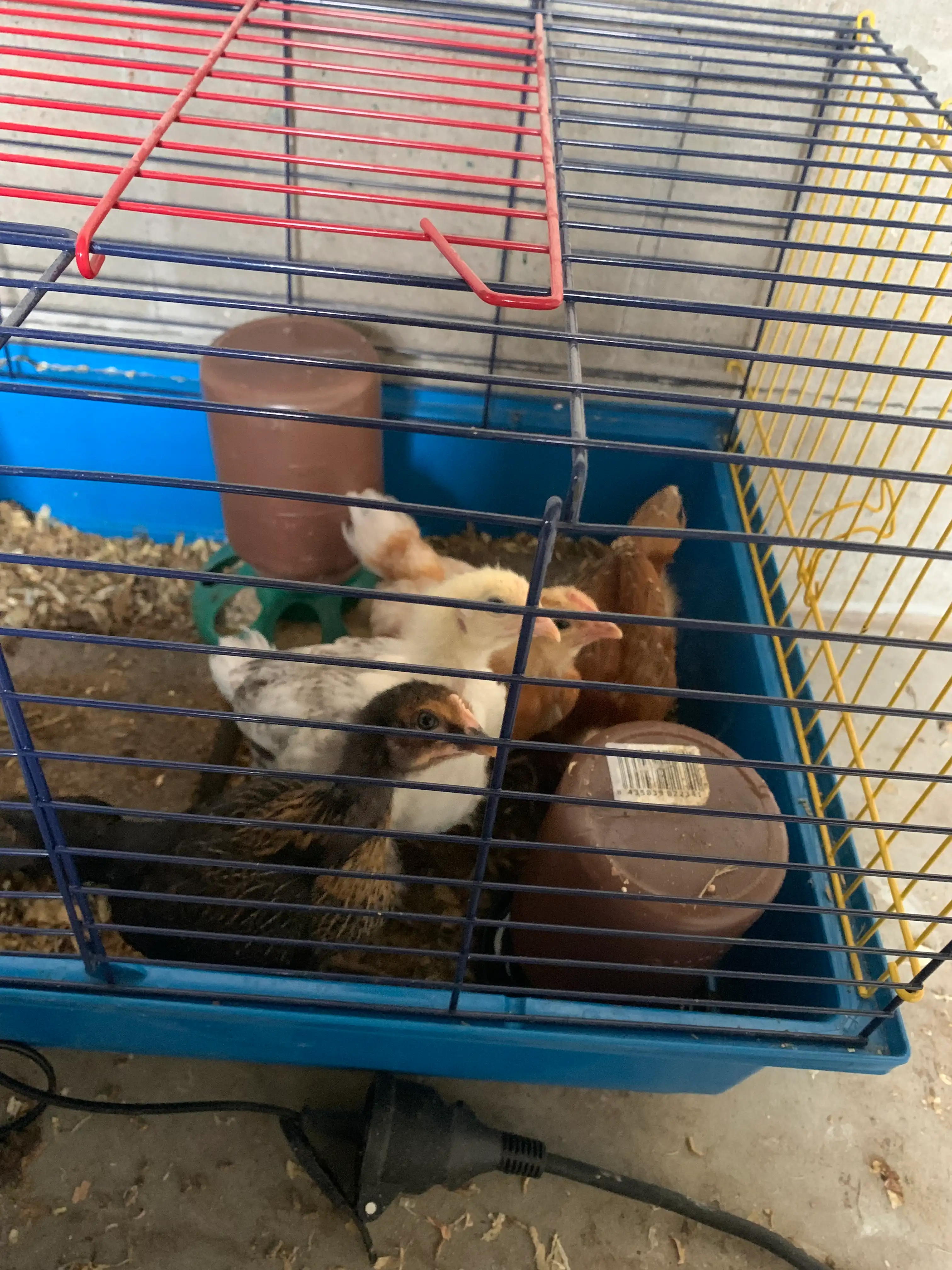 image-31