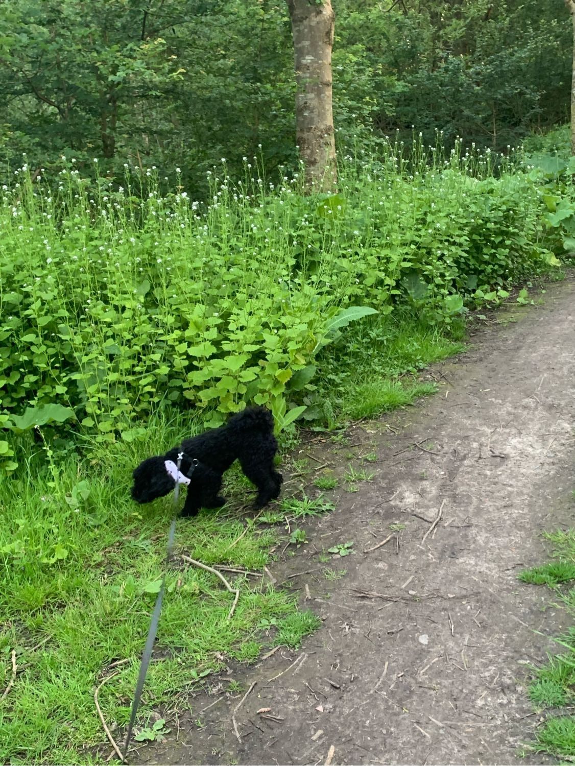 image-9
