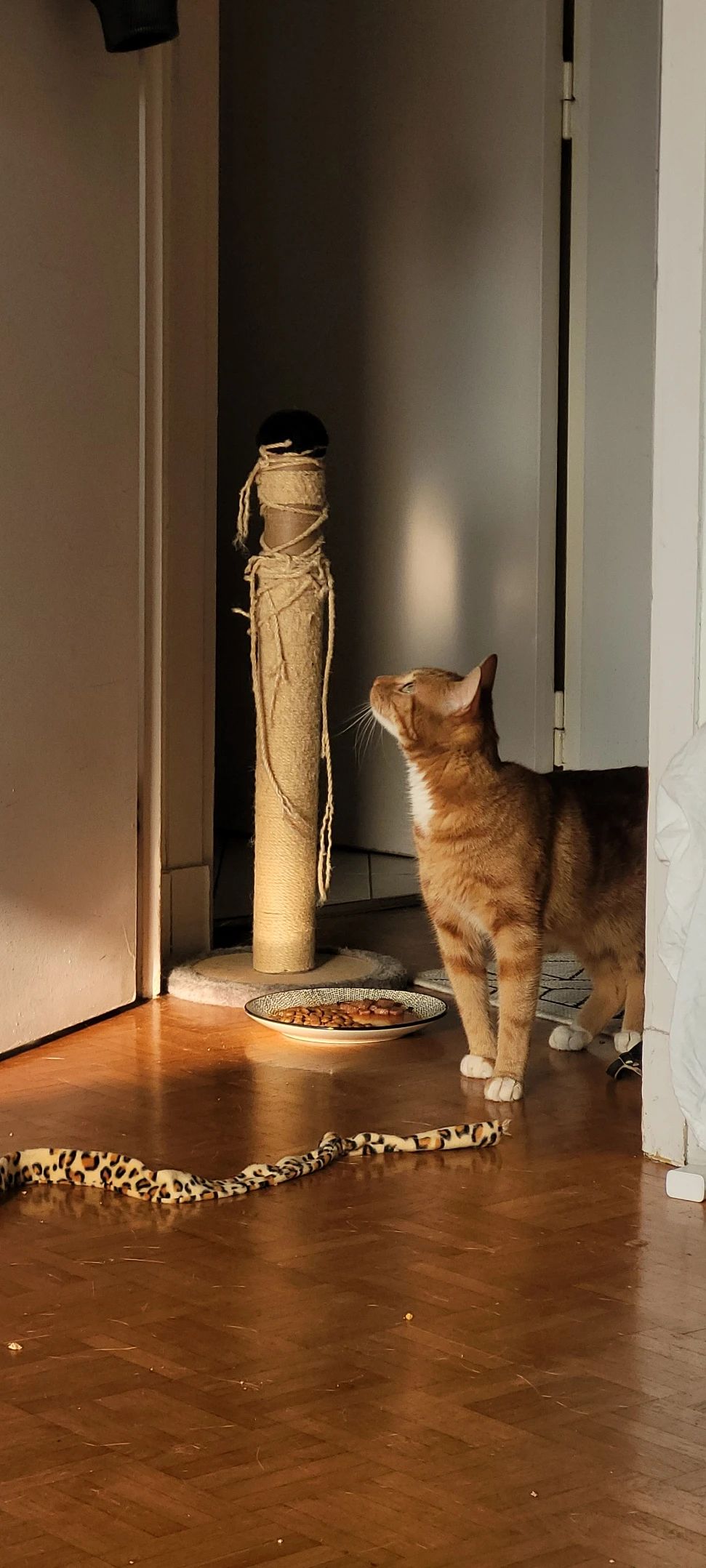 image-18