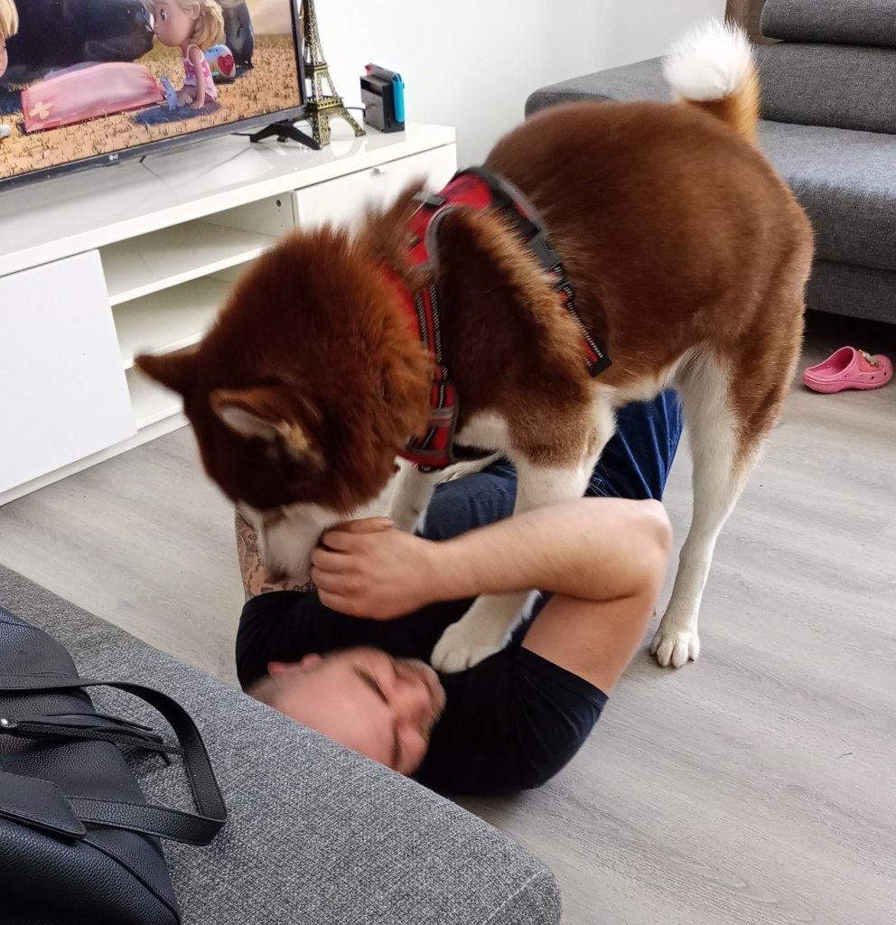 image-16