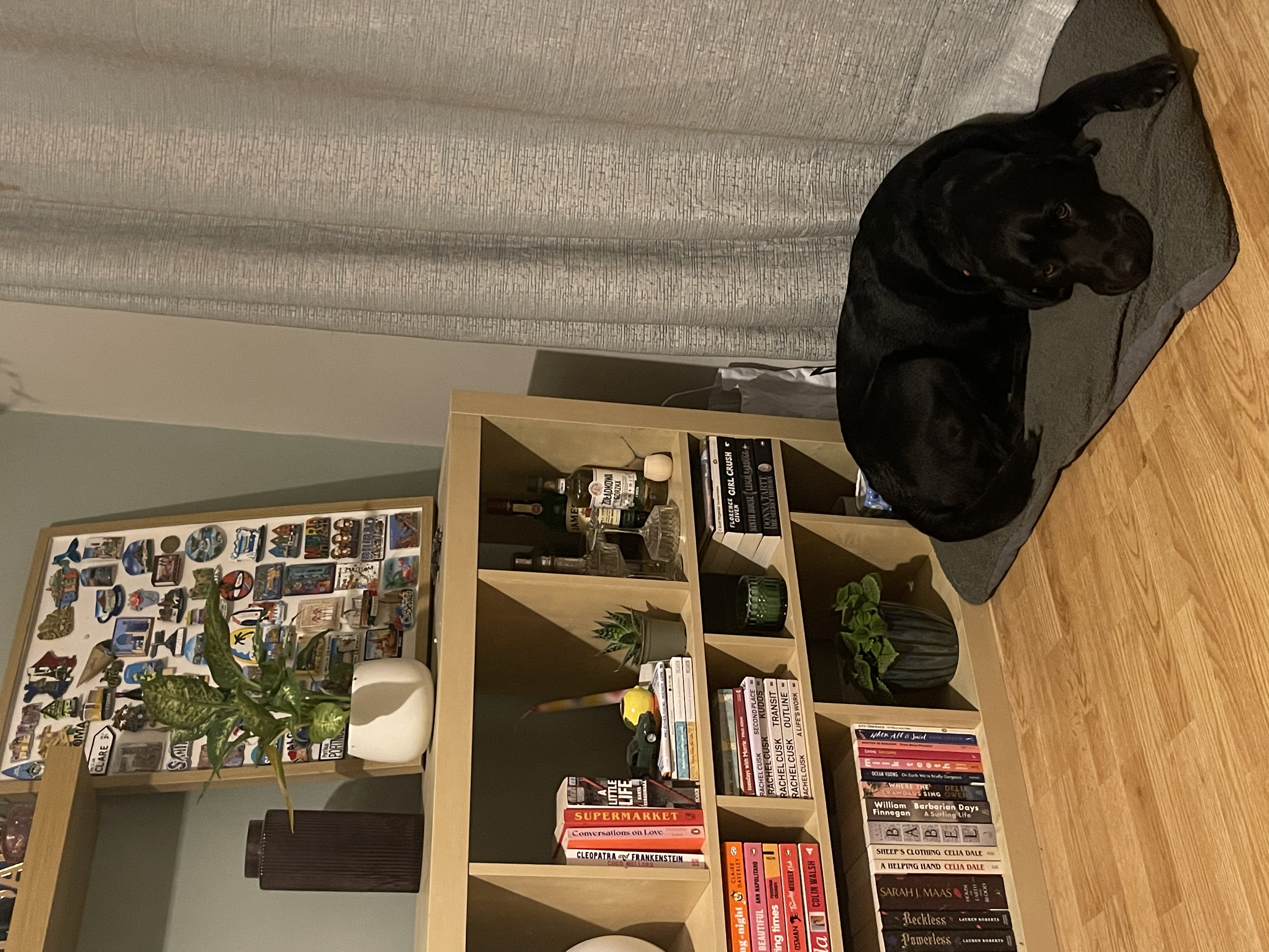 image-11