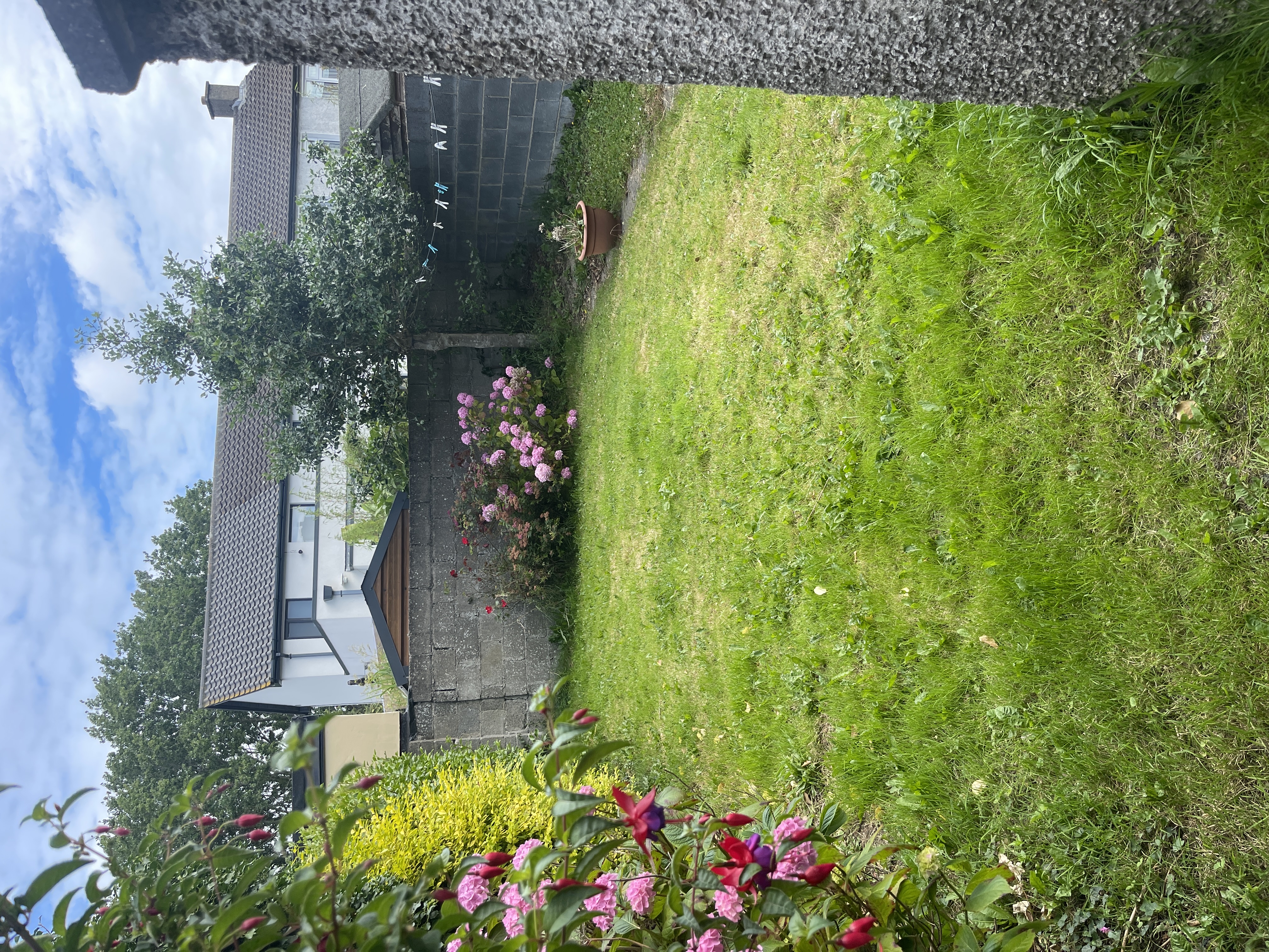 image-17