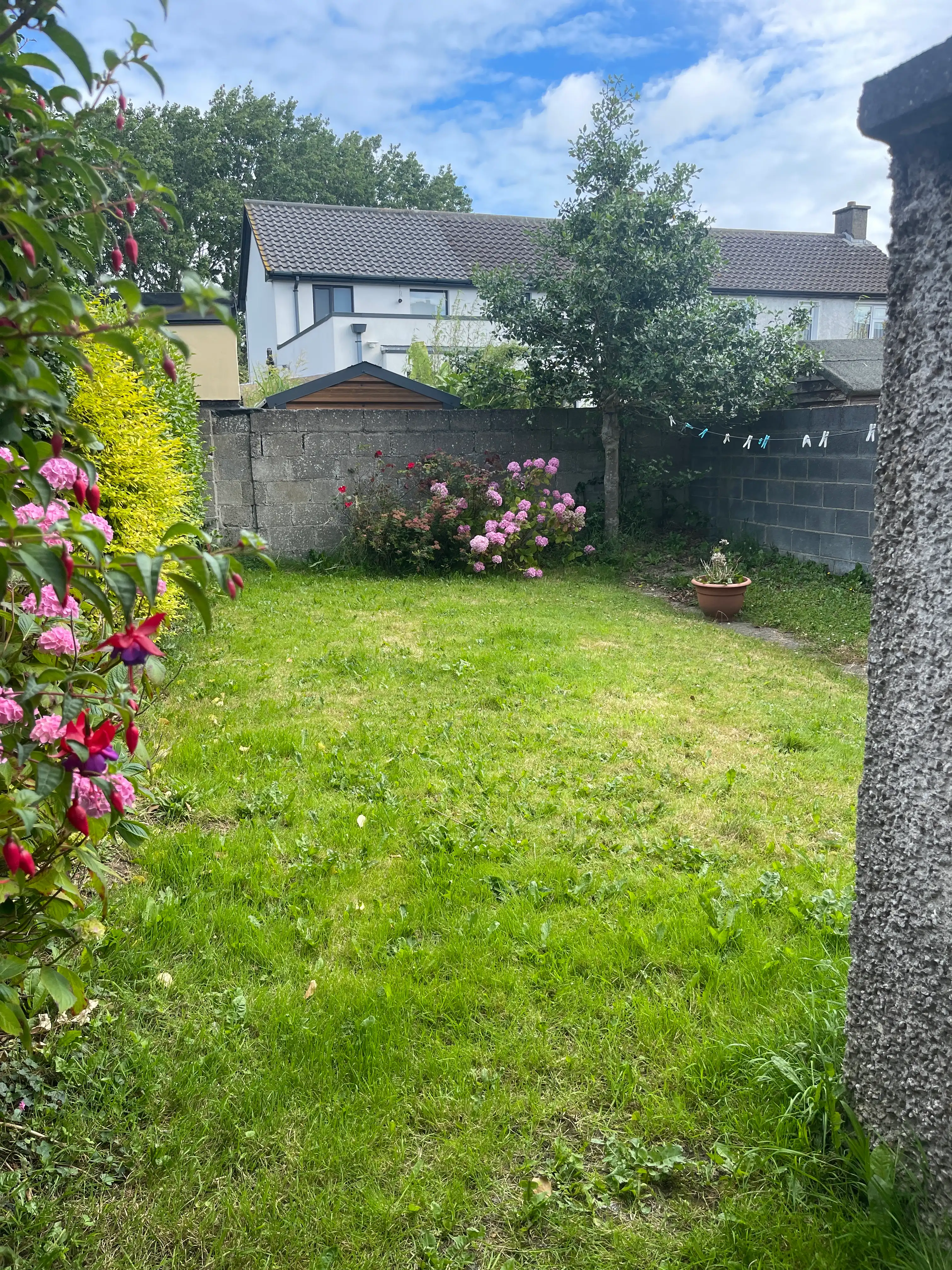 image-17