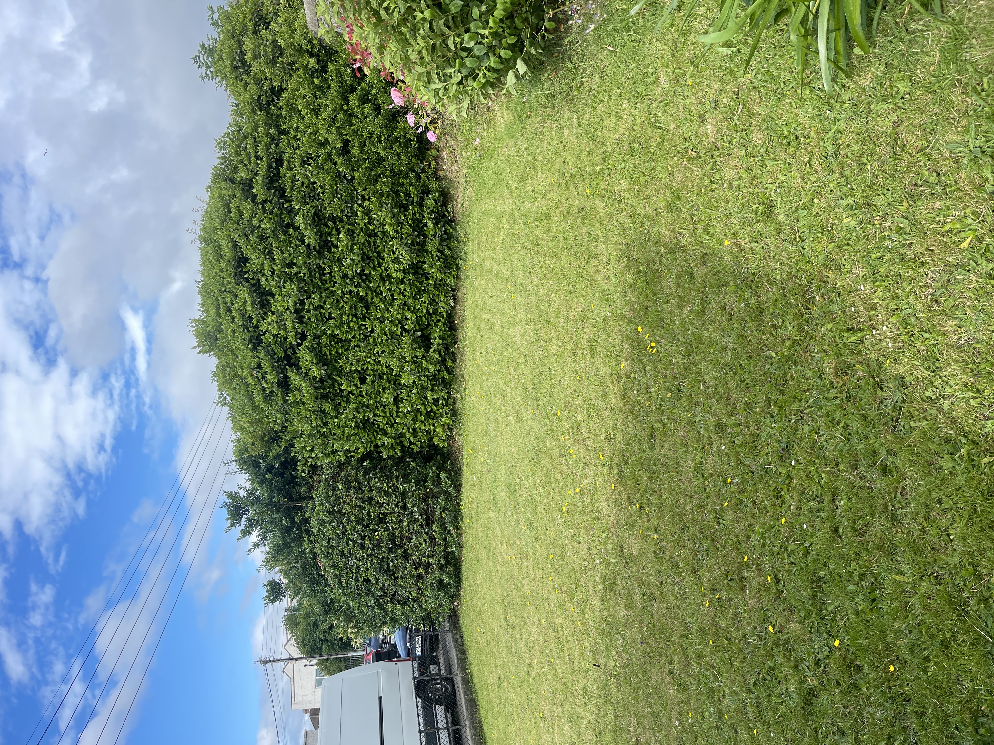 image-16