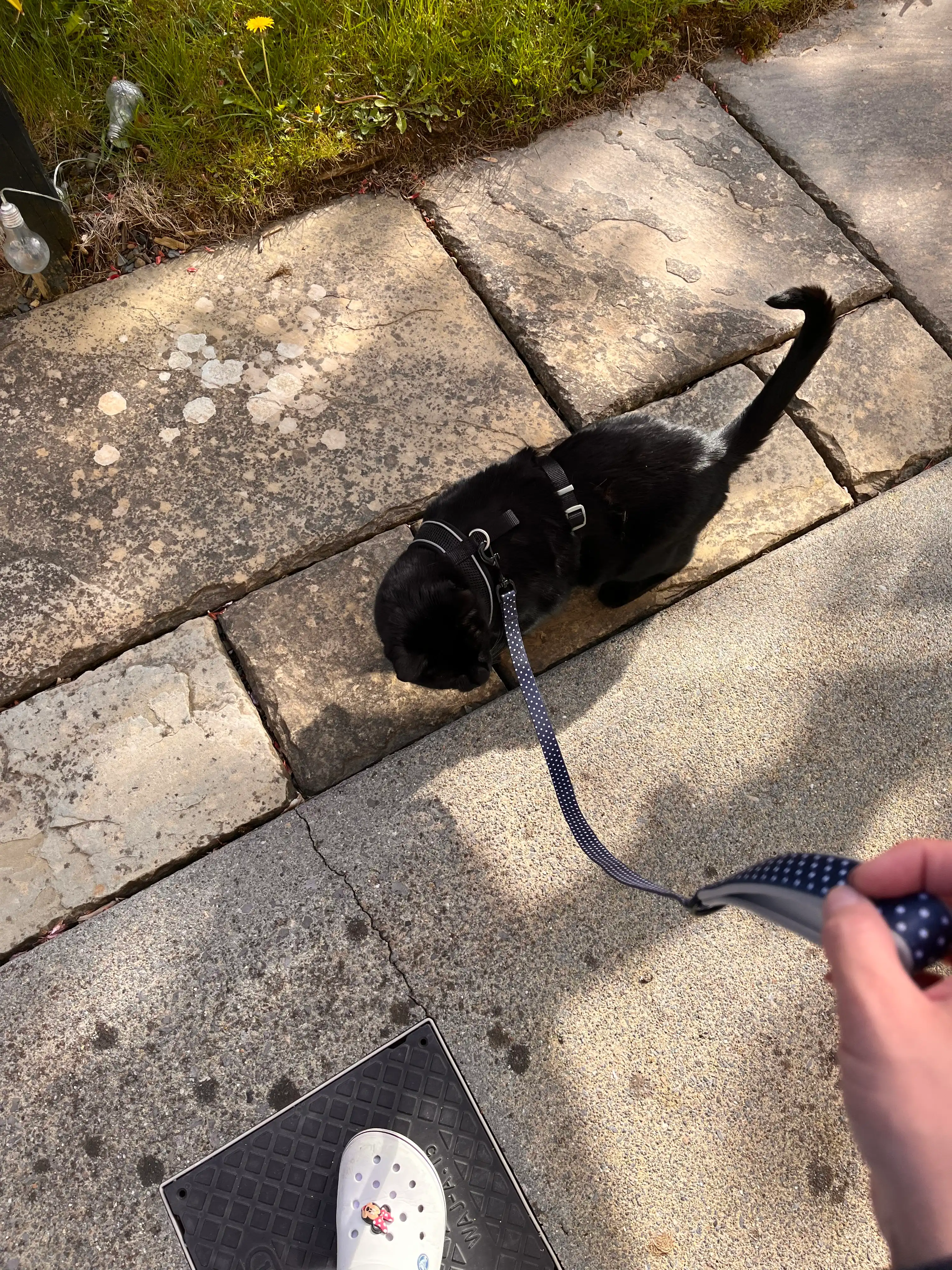 image-13