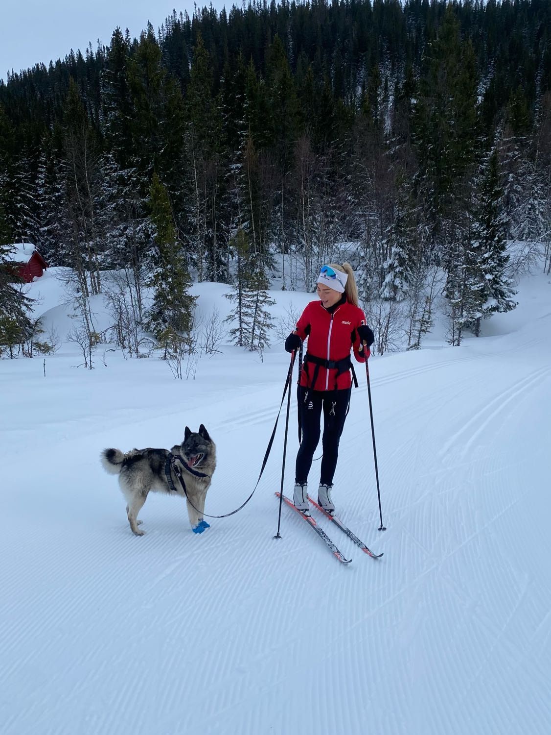 image-8