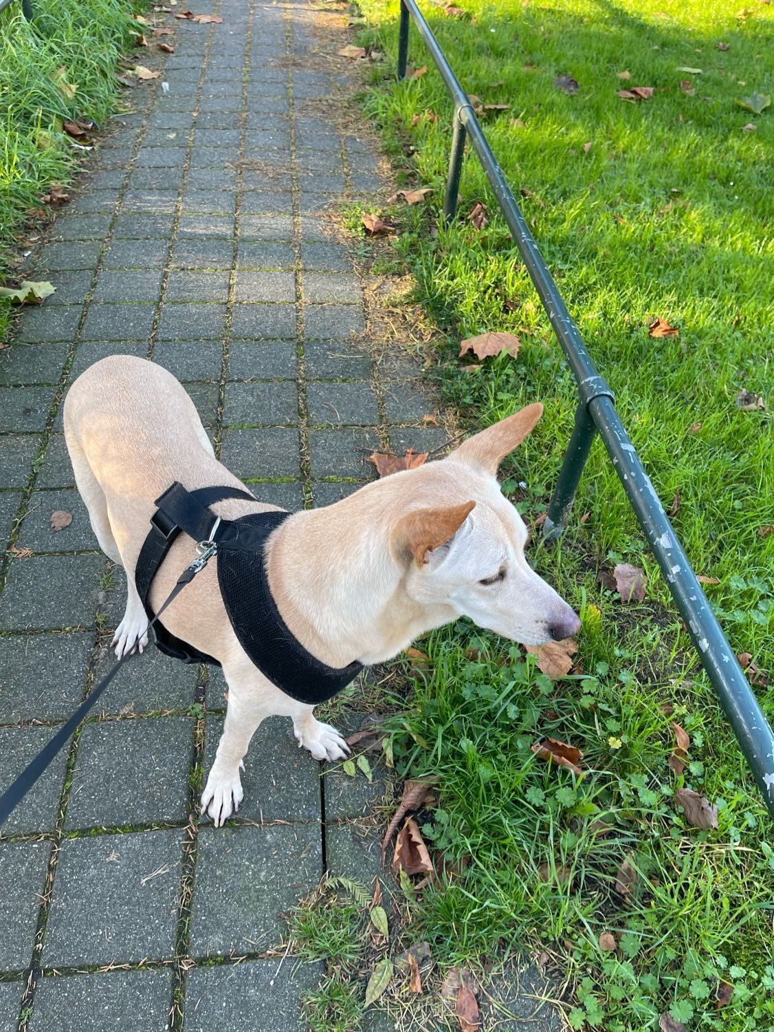 image-18