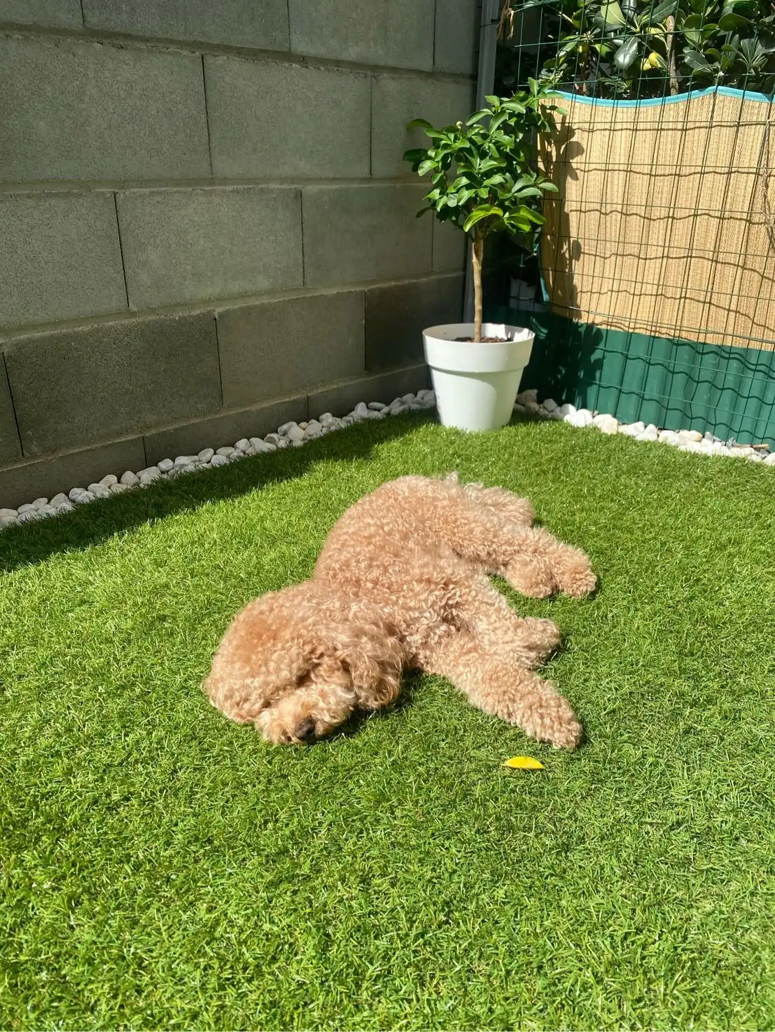 image-5