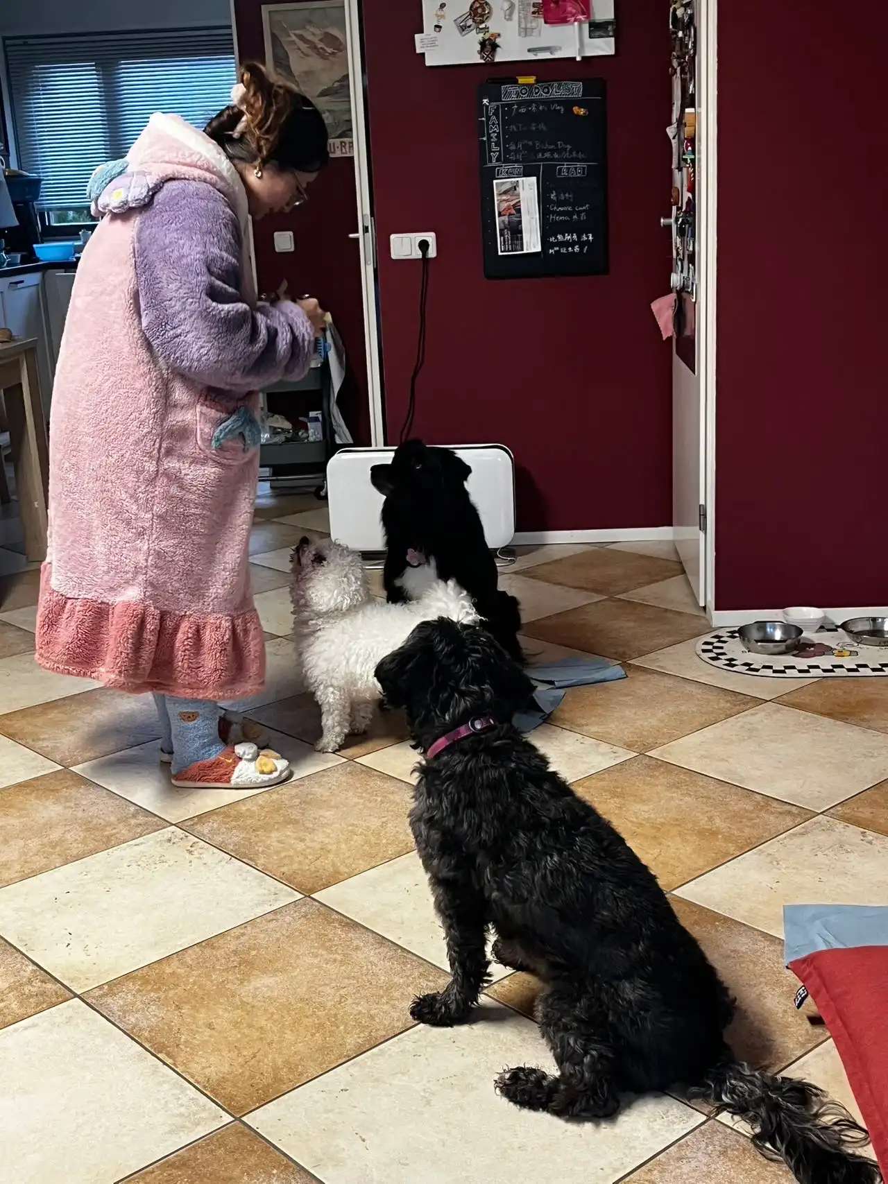 image-11