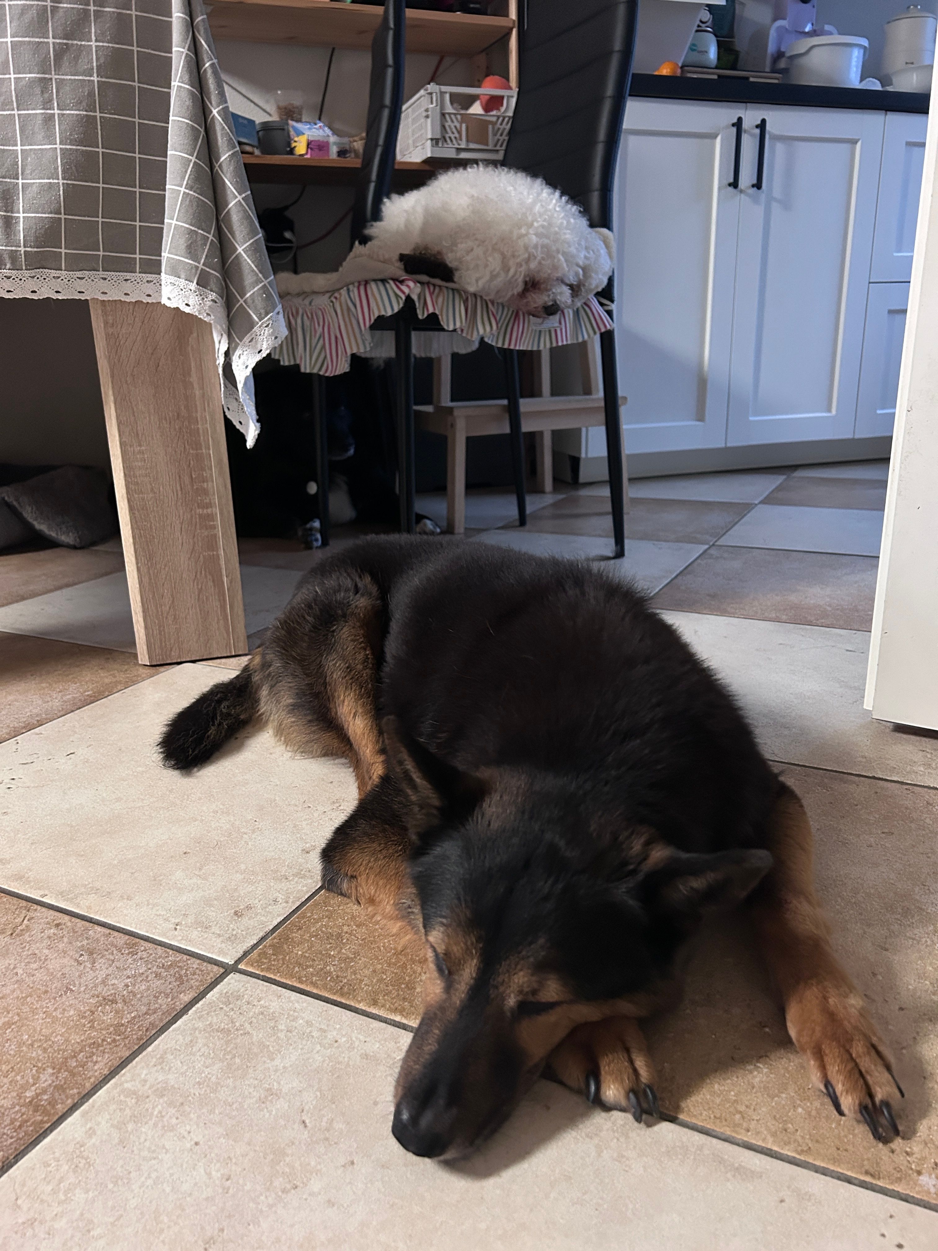 image-6