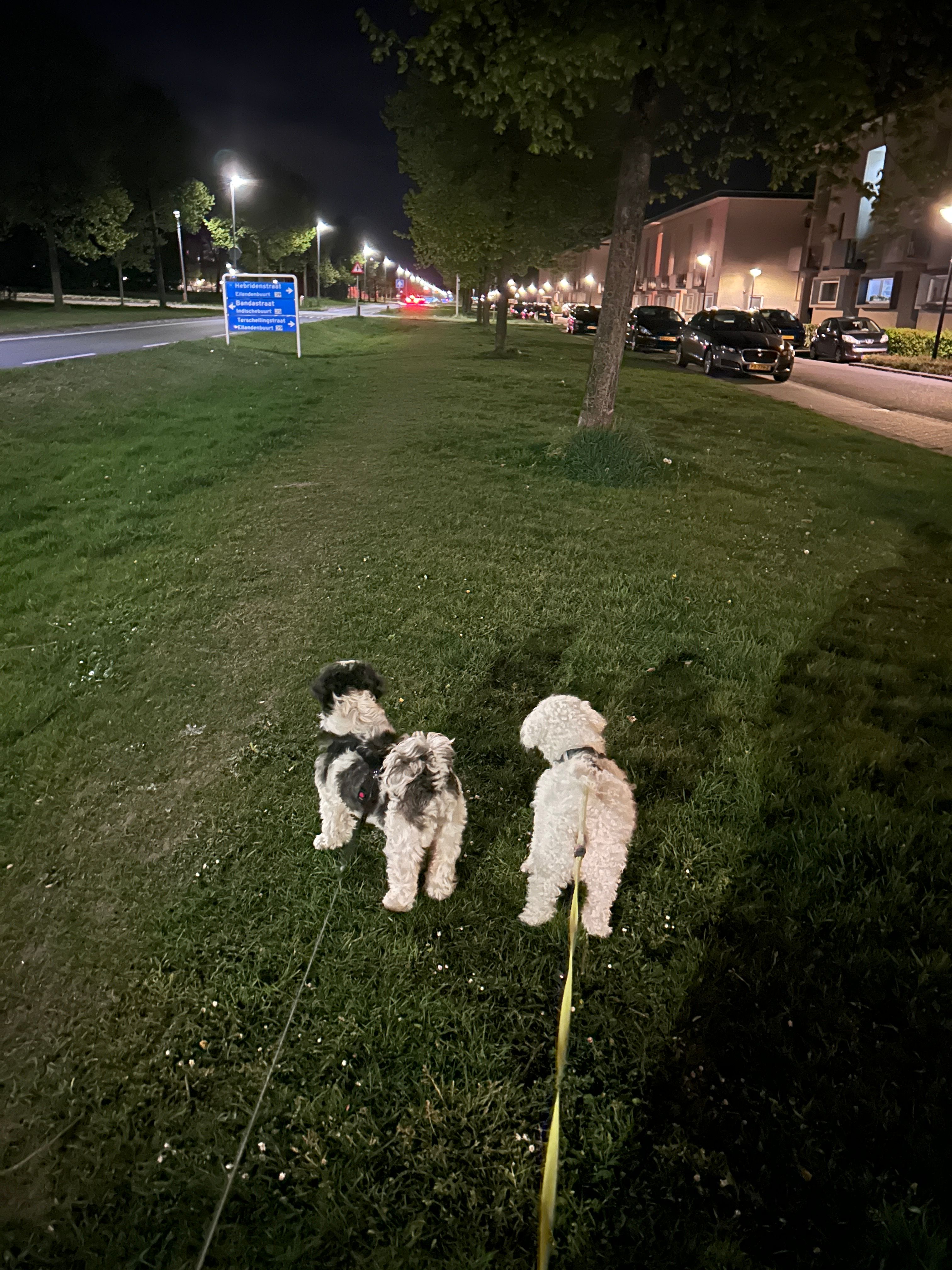 image-23