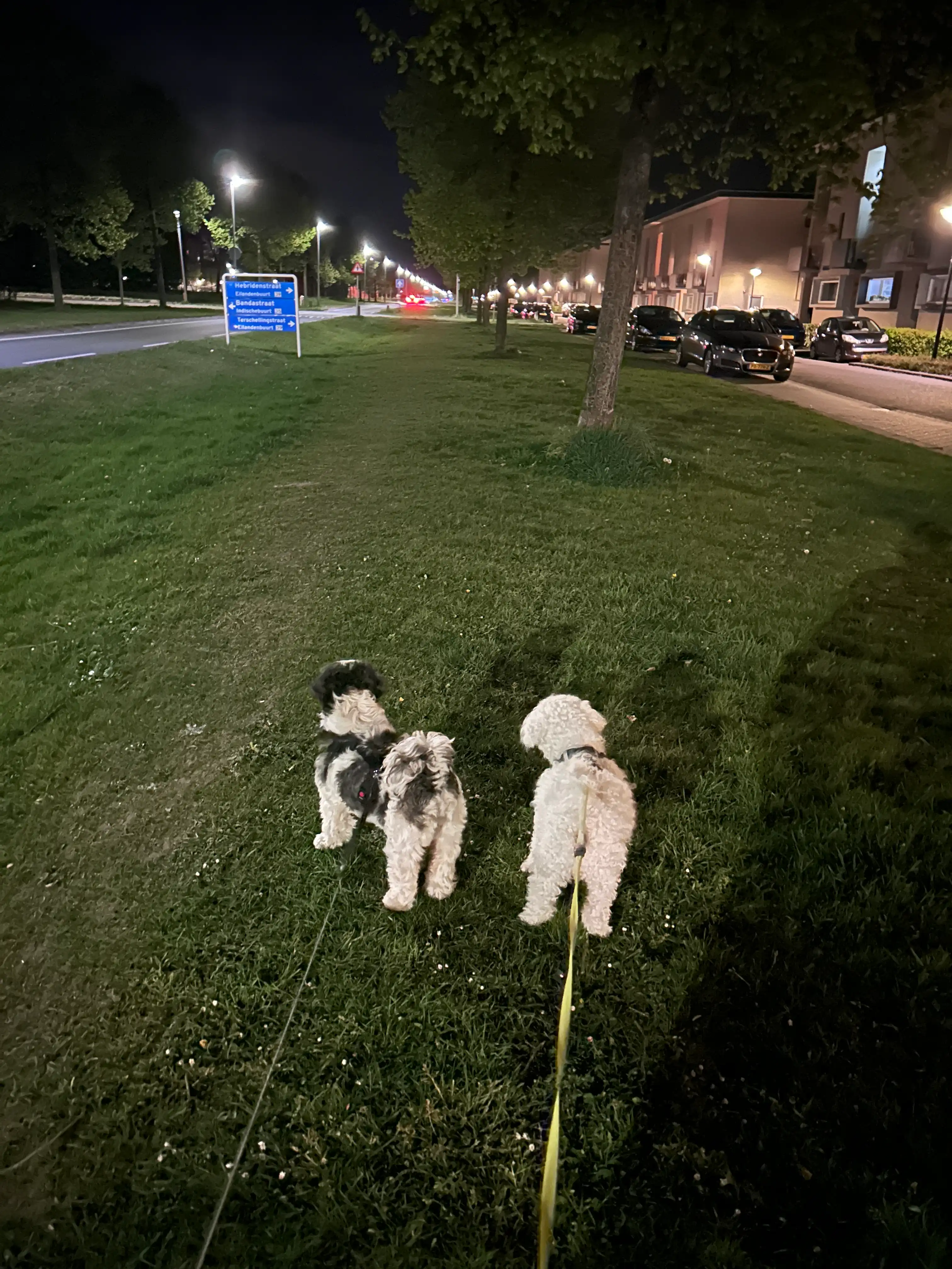 image-23