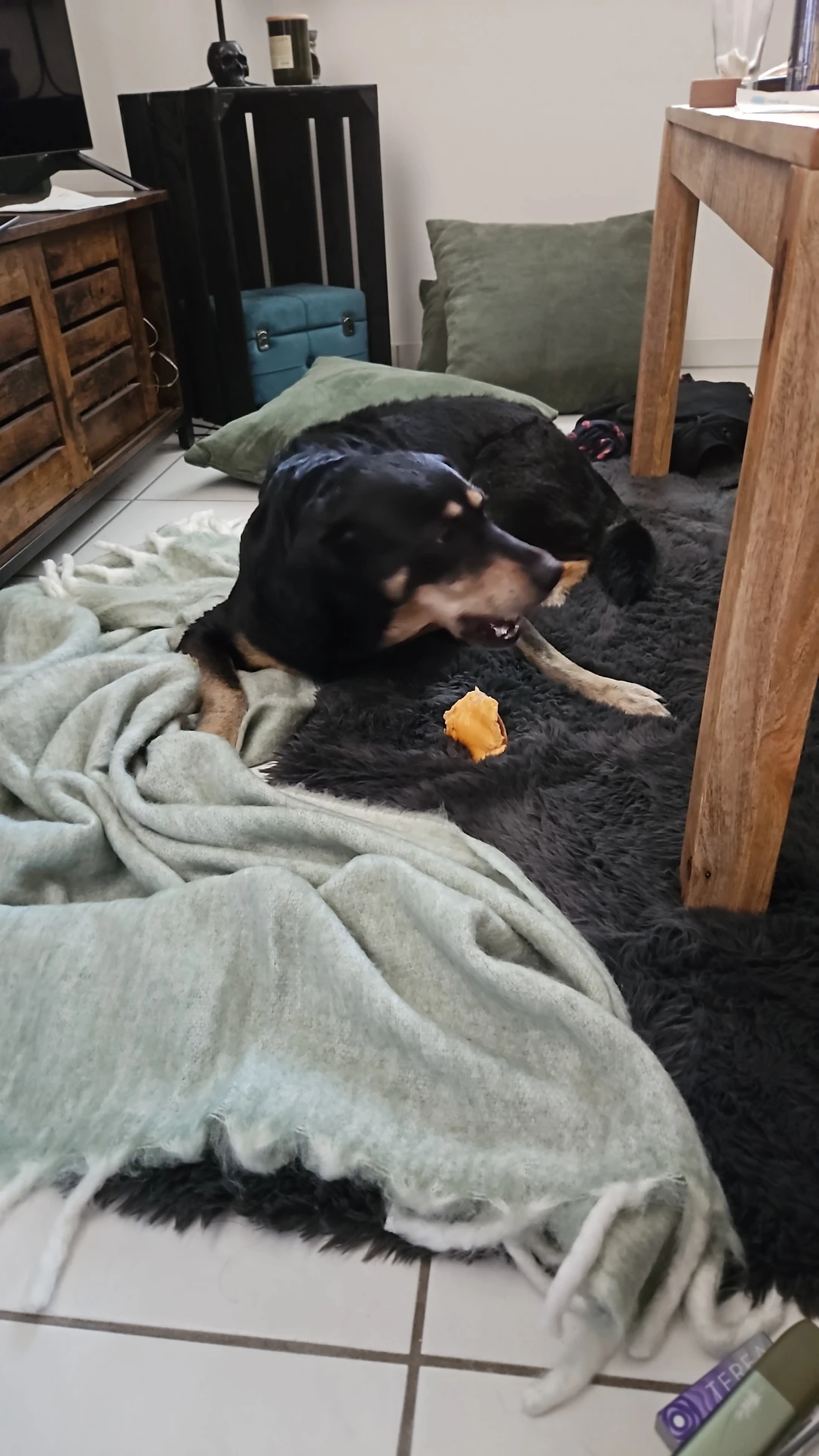image-6