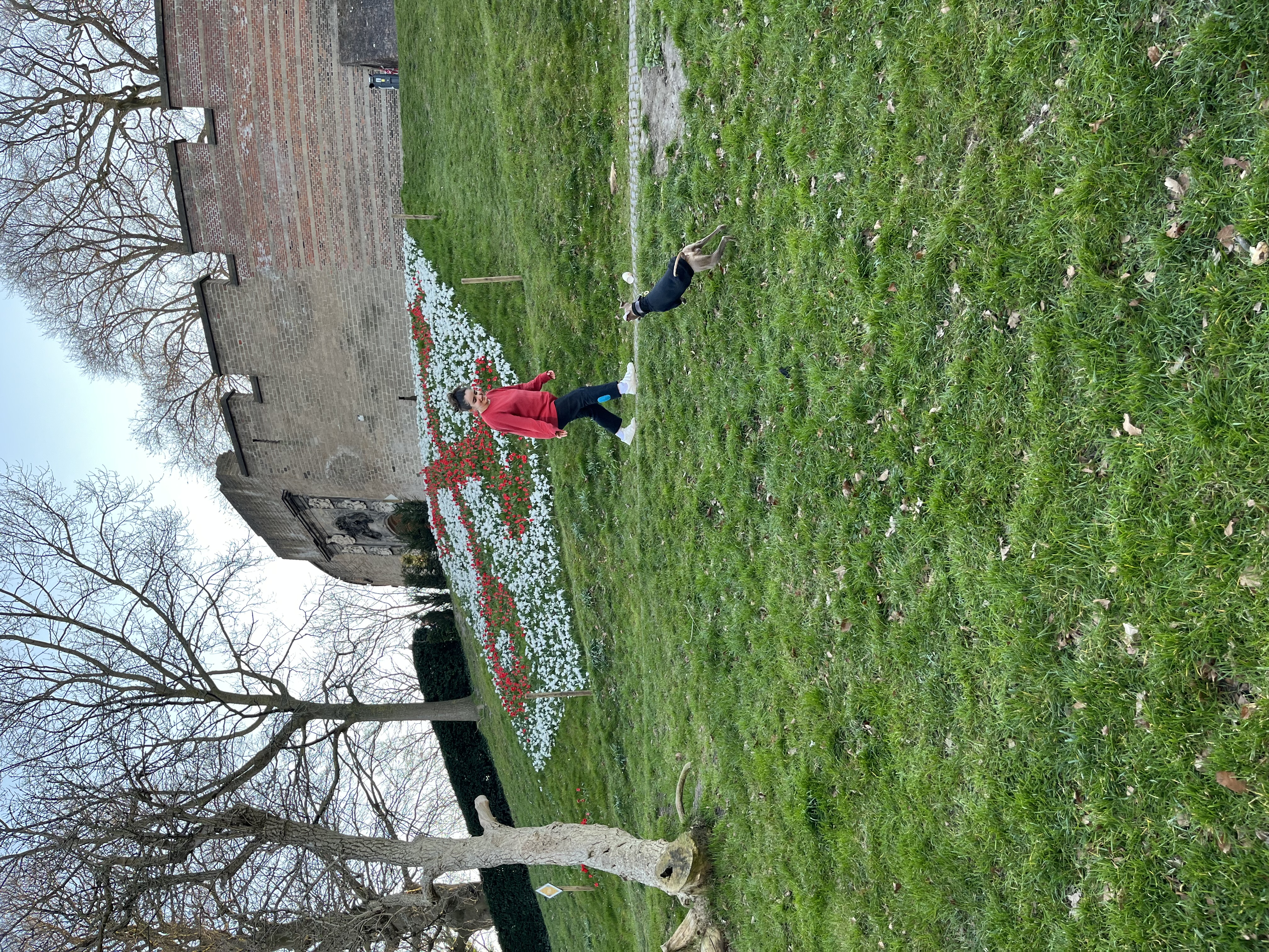 image-5