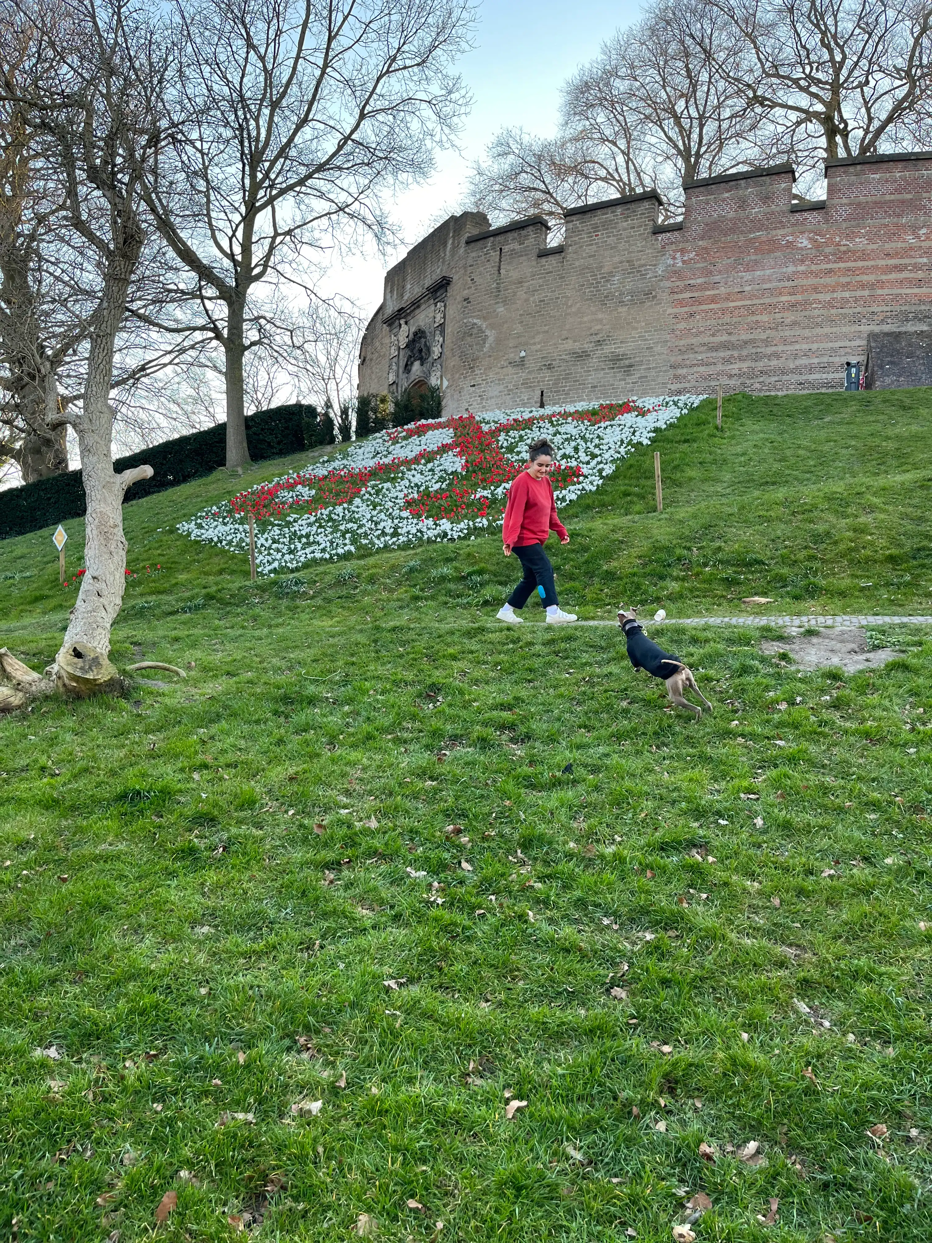 image-5