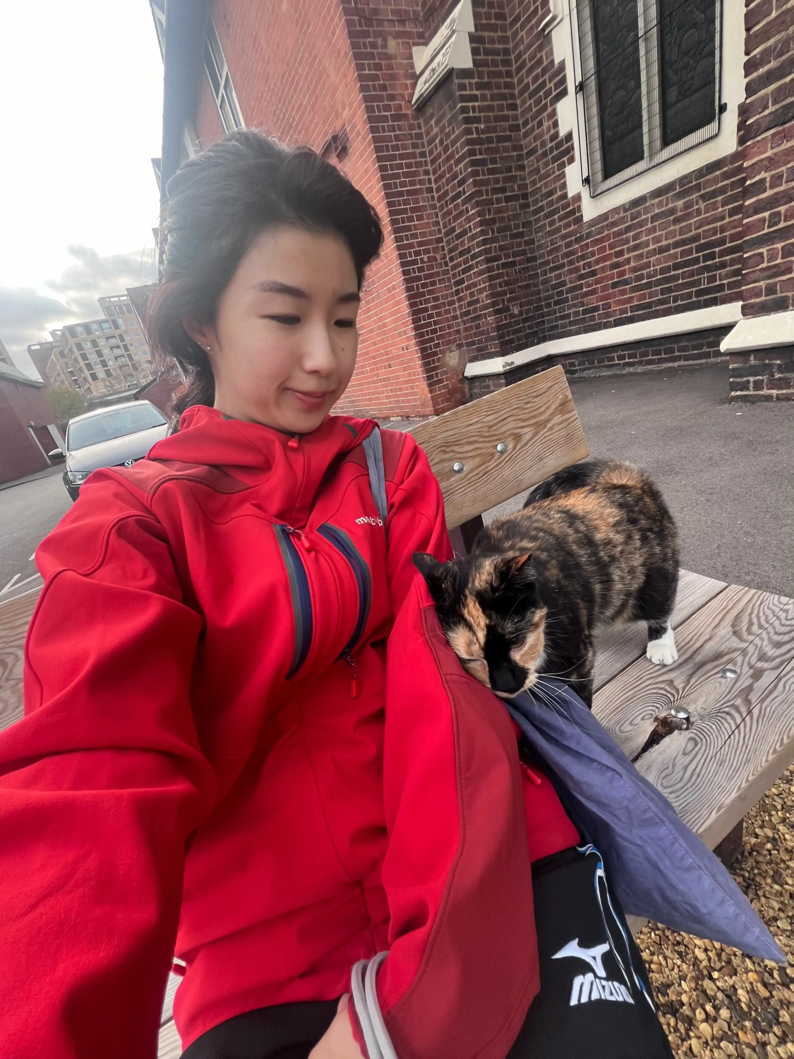 image-7