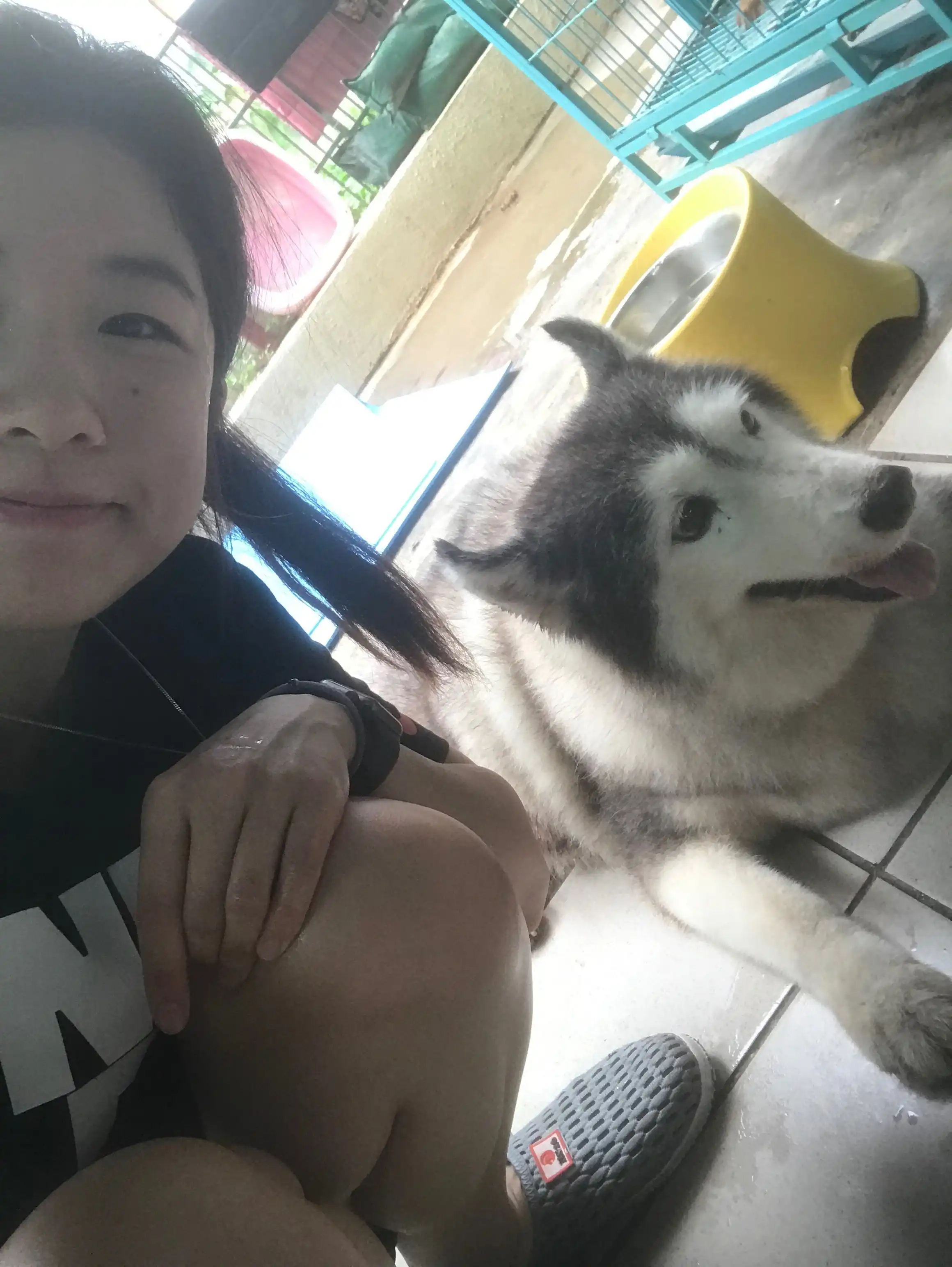 image-6